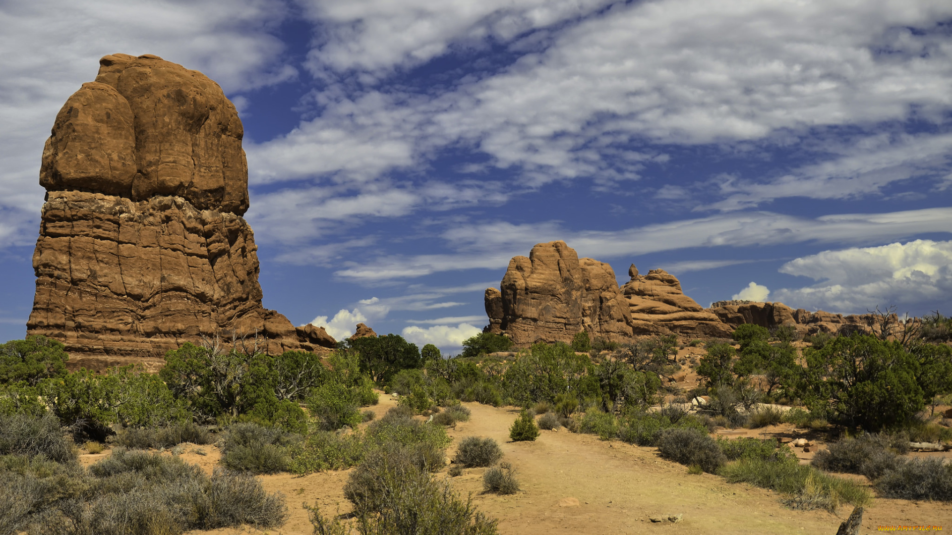 природа, пустыни, простор