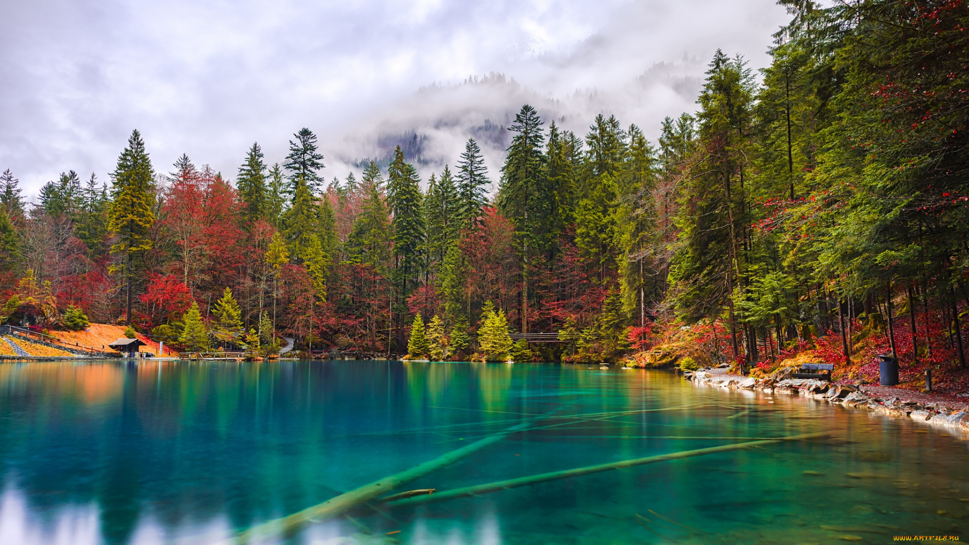 природа, реки, озера, озеро, деревья, вода, осень