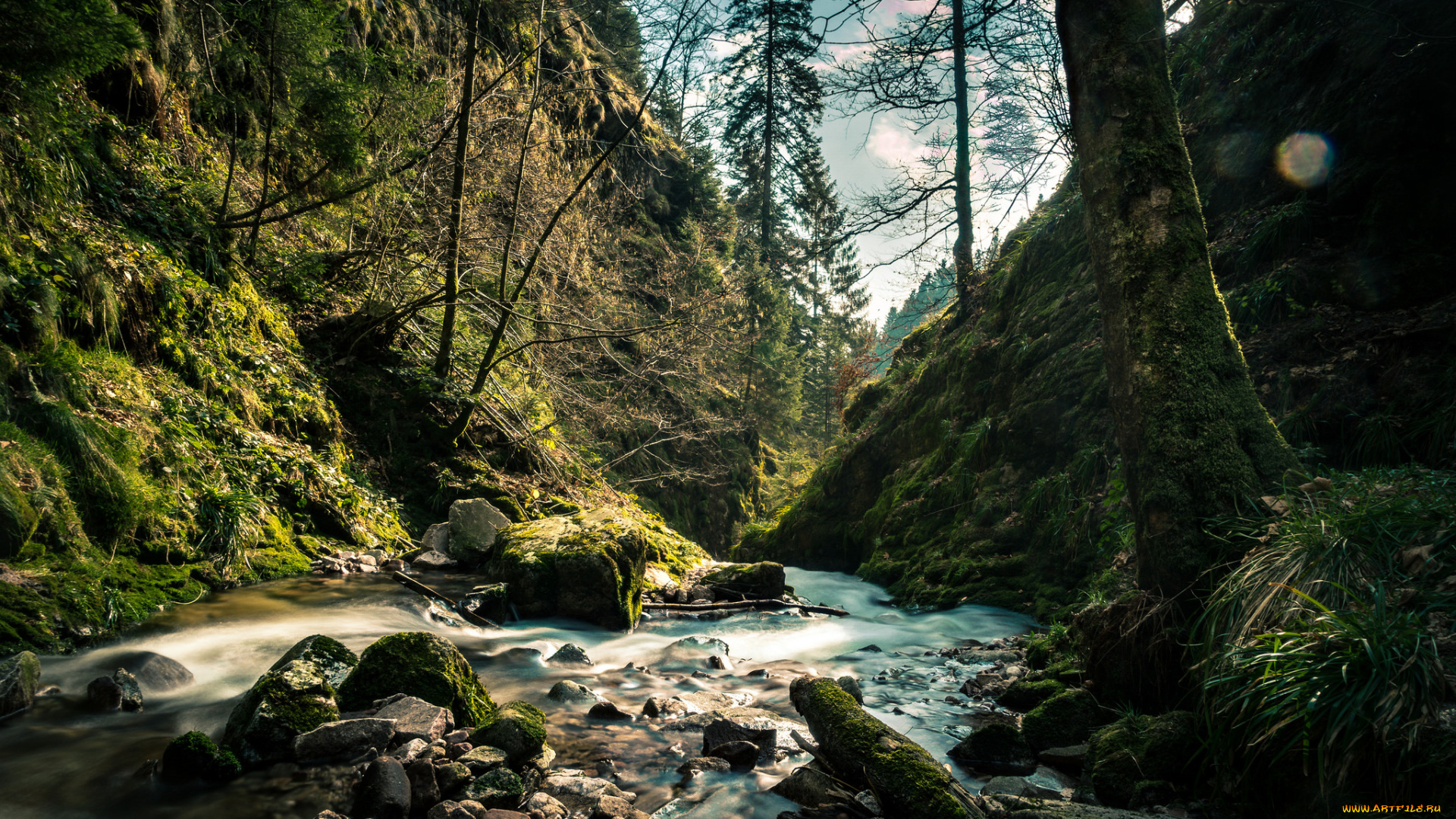 природа, реки, озера, простор