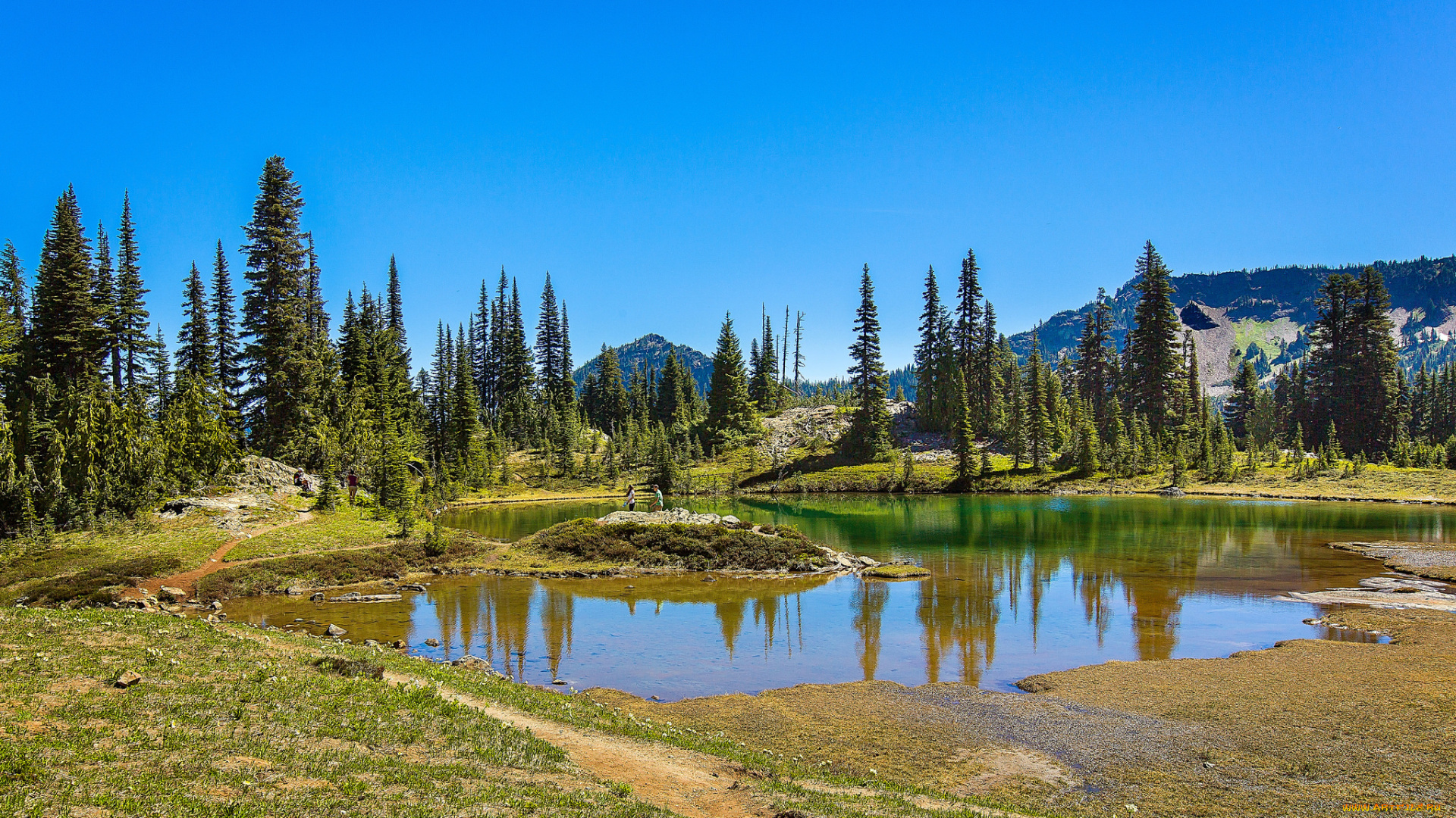 природа, реки, озера, простор