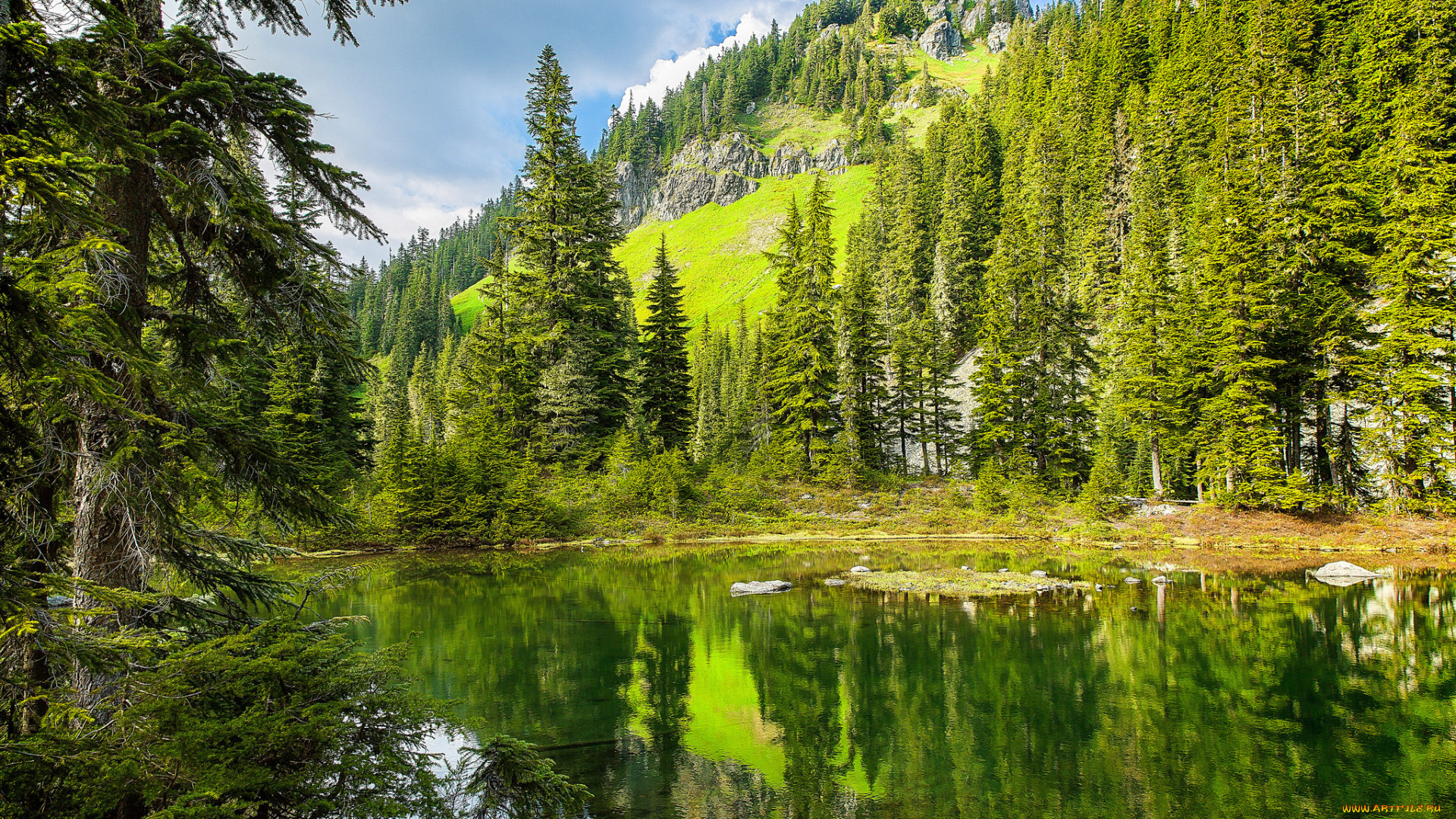 природа, реки, озера, простор