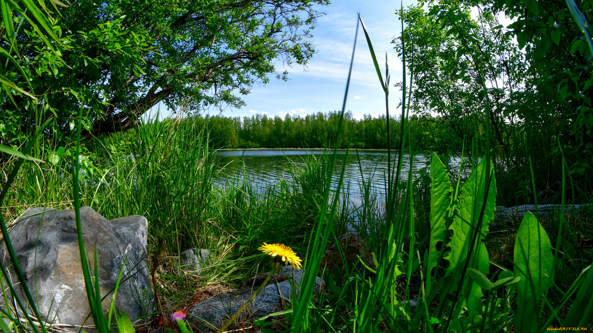 природа, реки, озера, простор