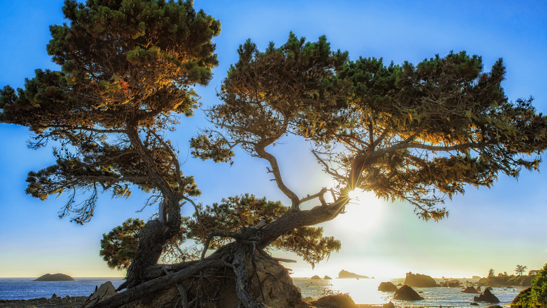 природа, водопады, простор