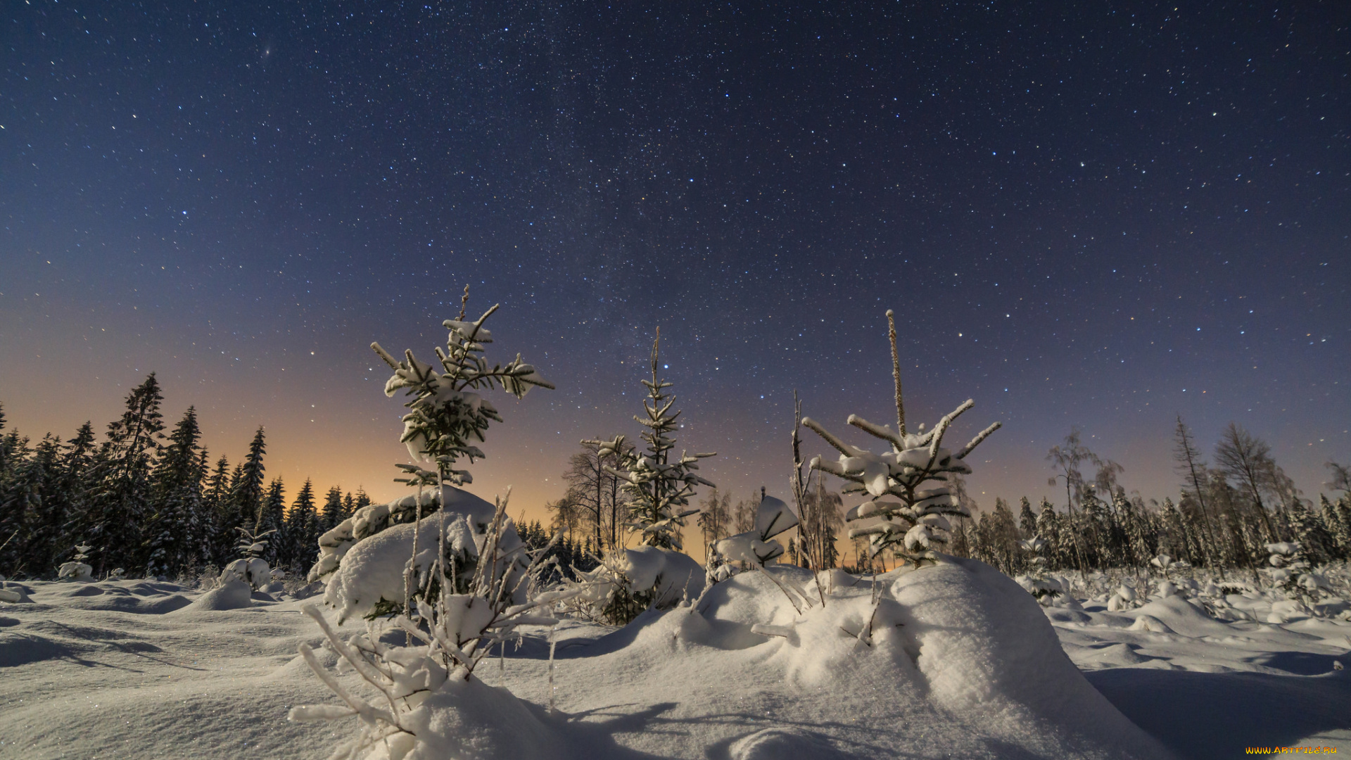 природа, зима, простор