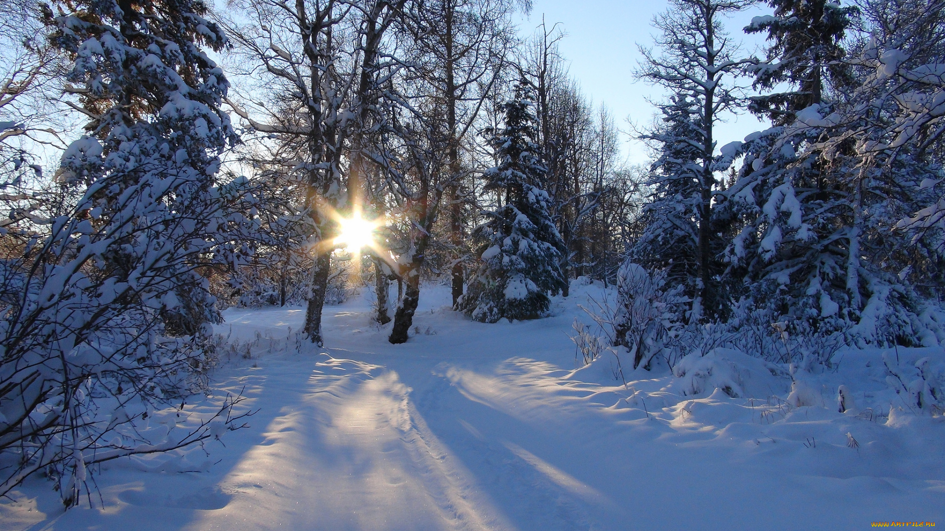 природа, зима, простор