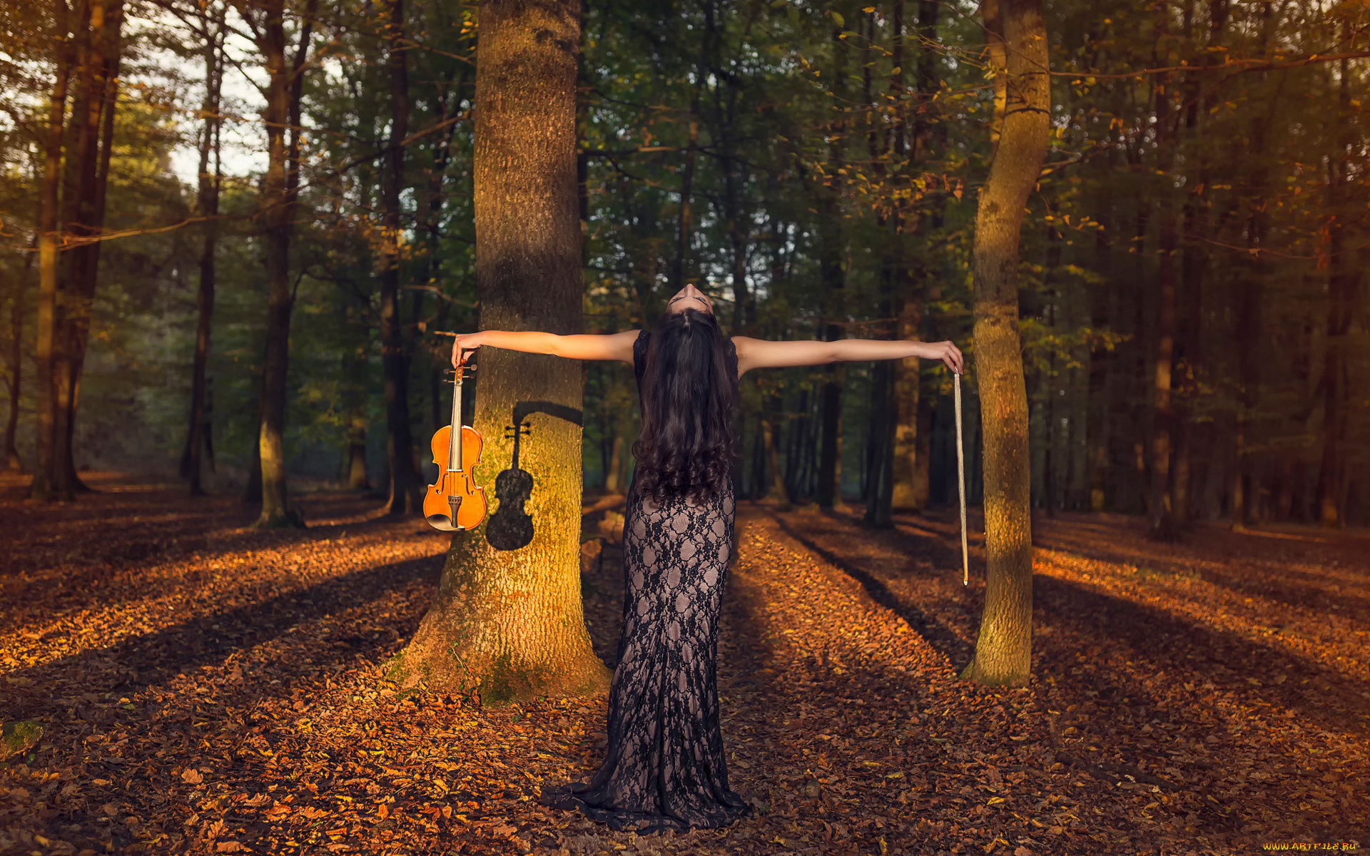 музыка, -, другое, девушка, листва, деревья, скрипка