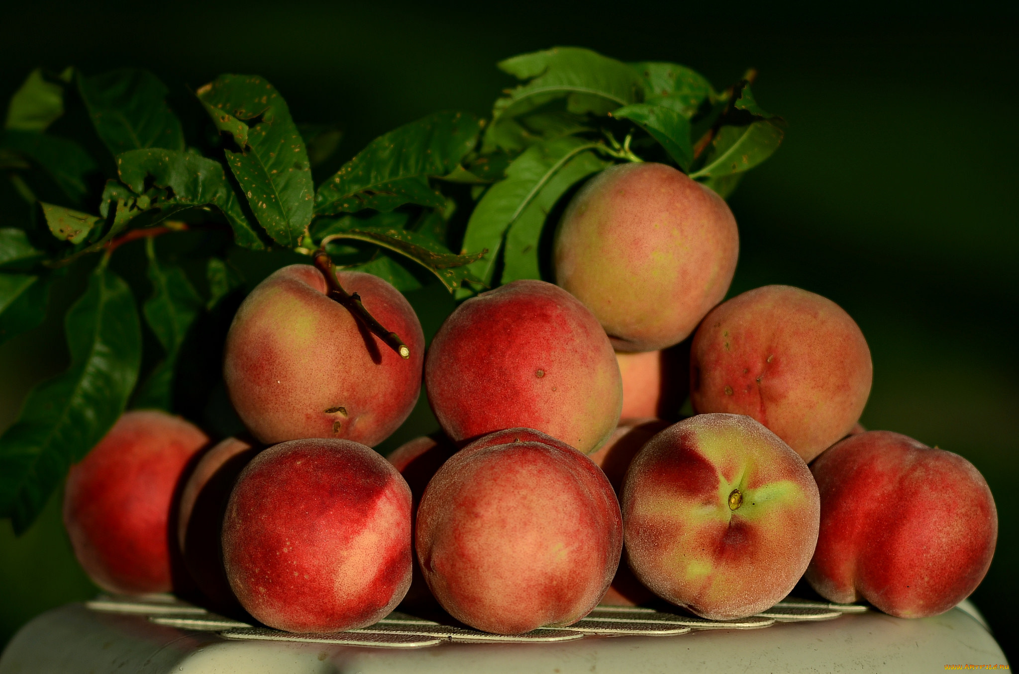 еда, персики, , сливы, , абрикосы, снедь