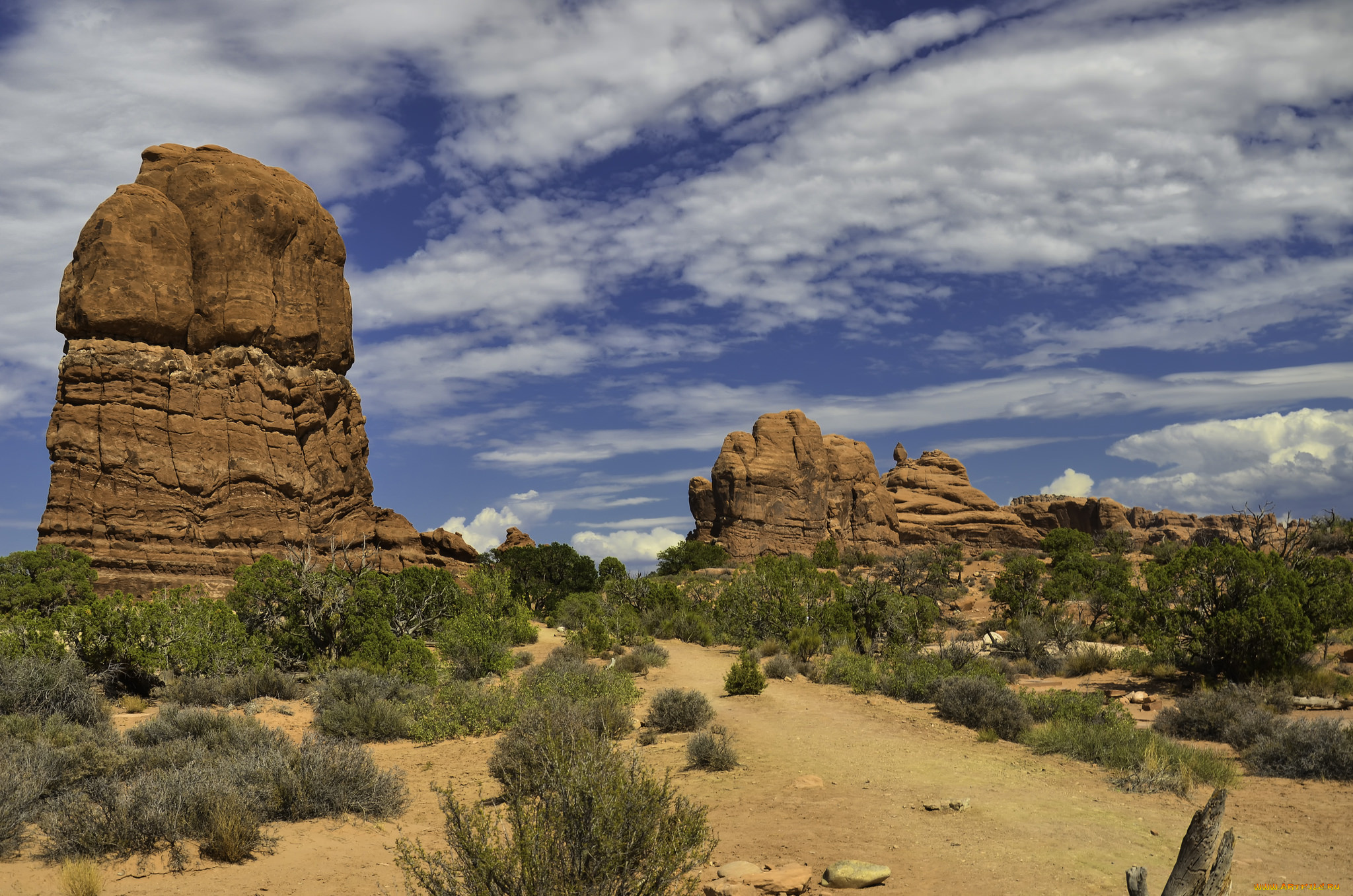 природа, пустыни, простор