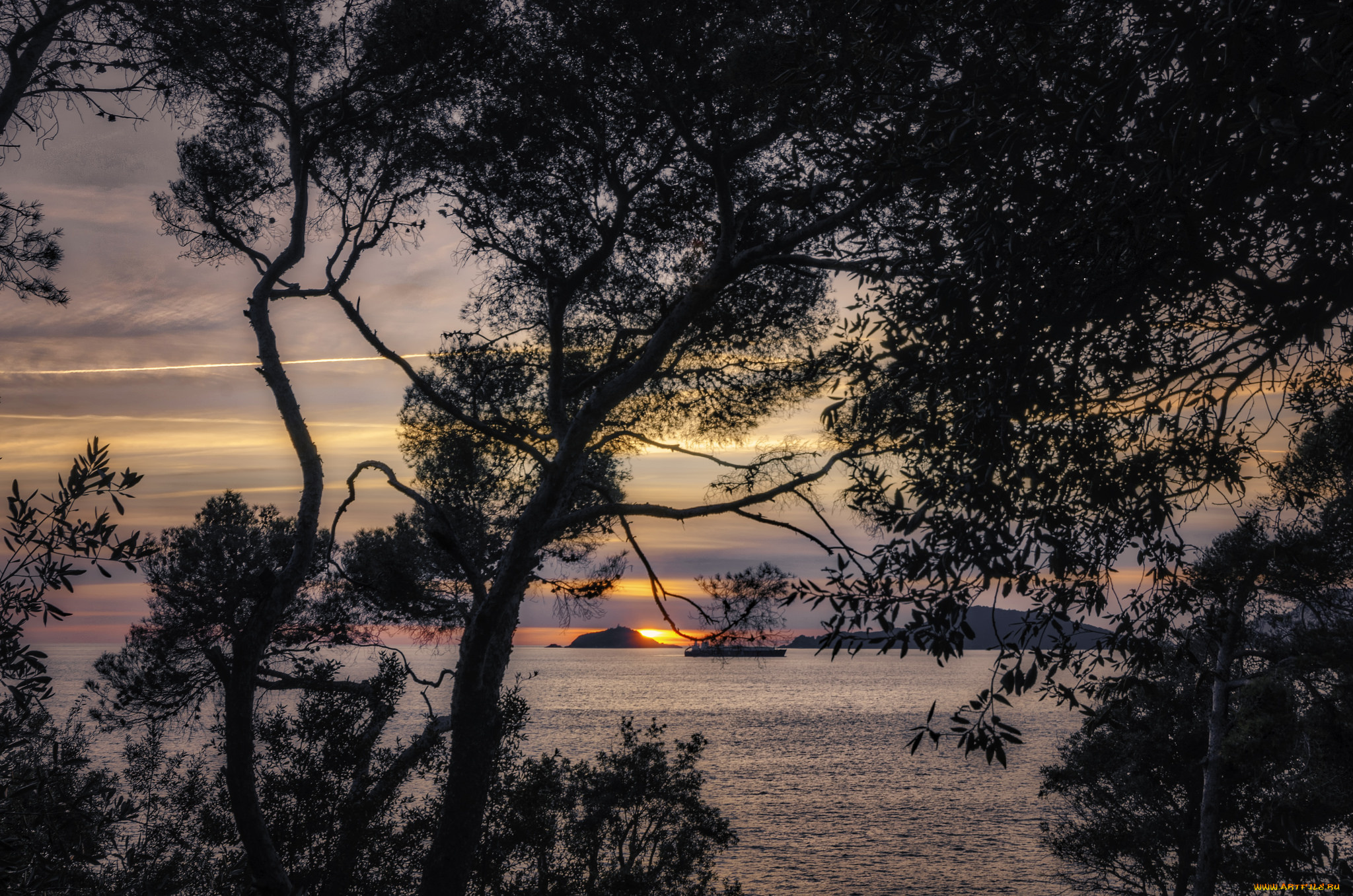 природа, пейзажи, простор