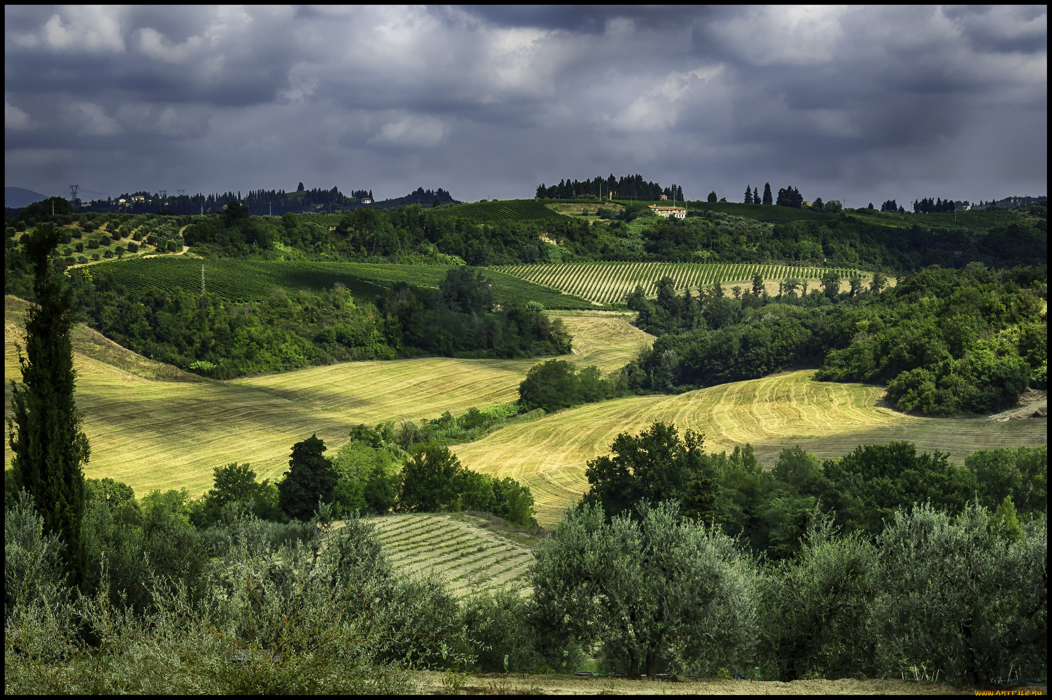 природа, пейзажи, простор