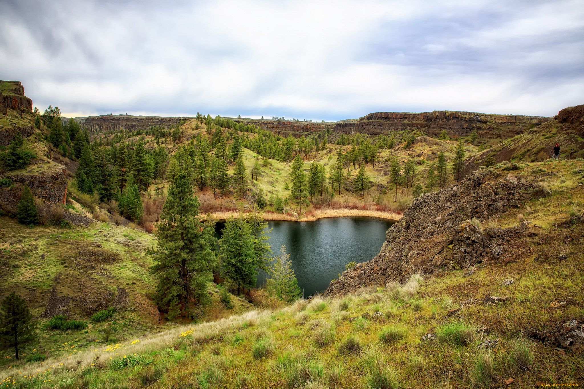 природа, пейзажи, простор