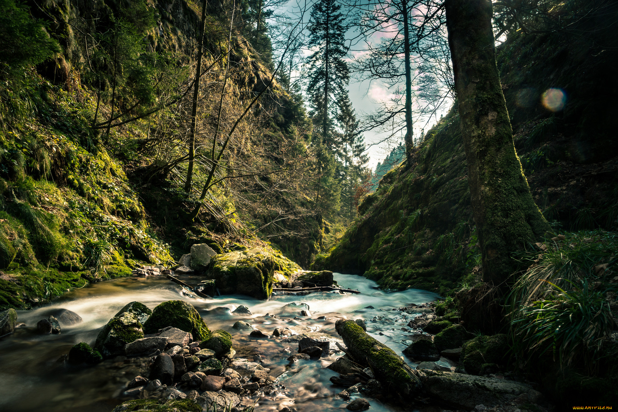 природа, реки, озера, простор