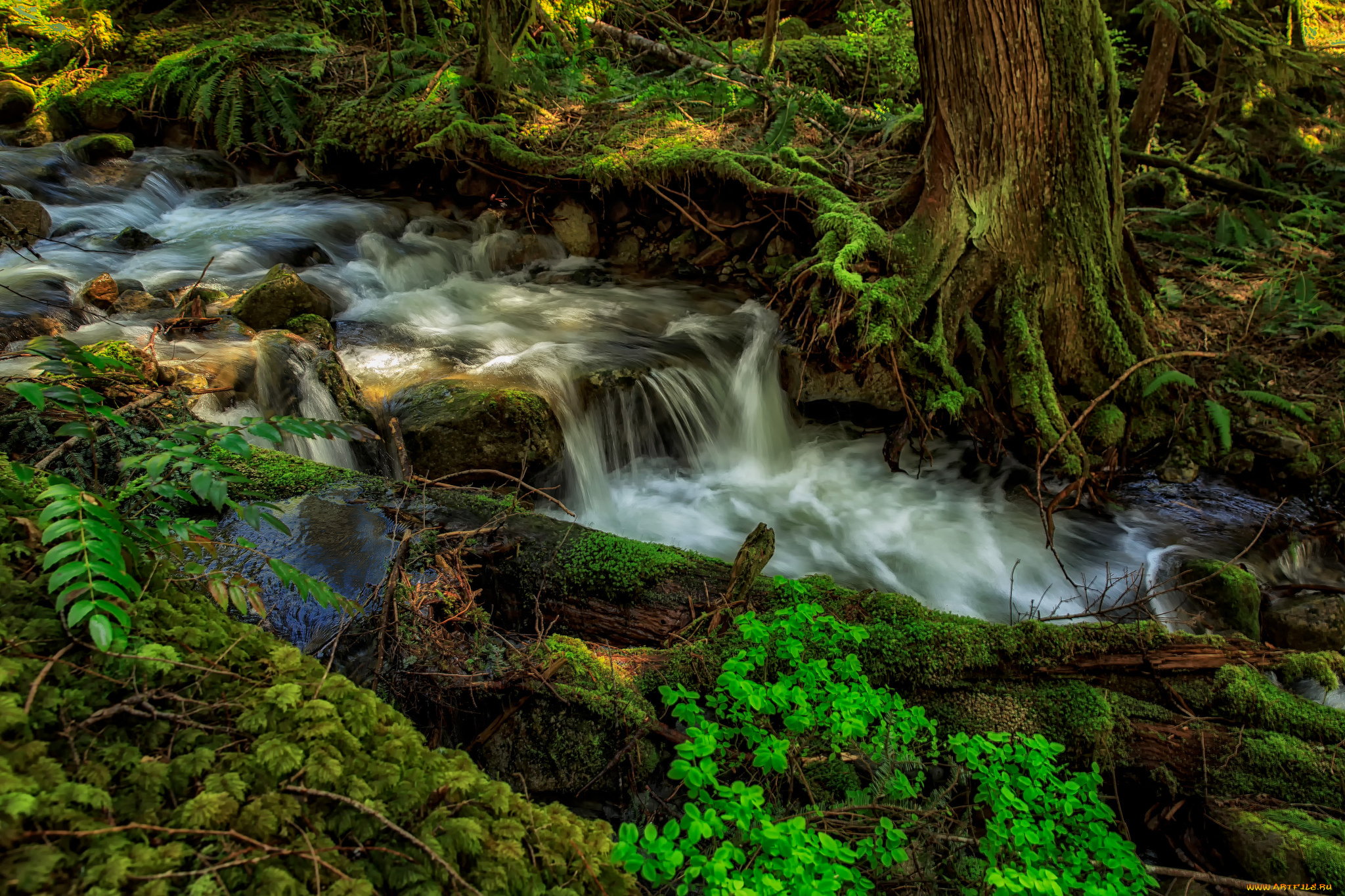 природа, реки, озера, простор