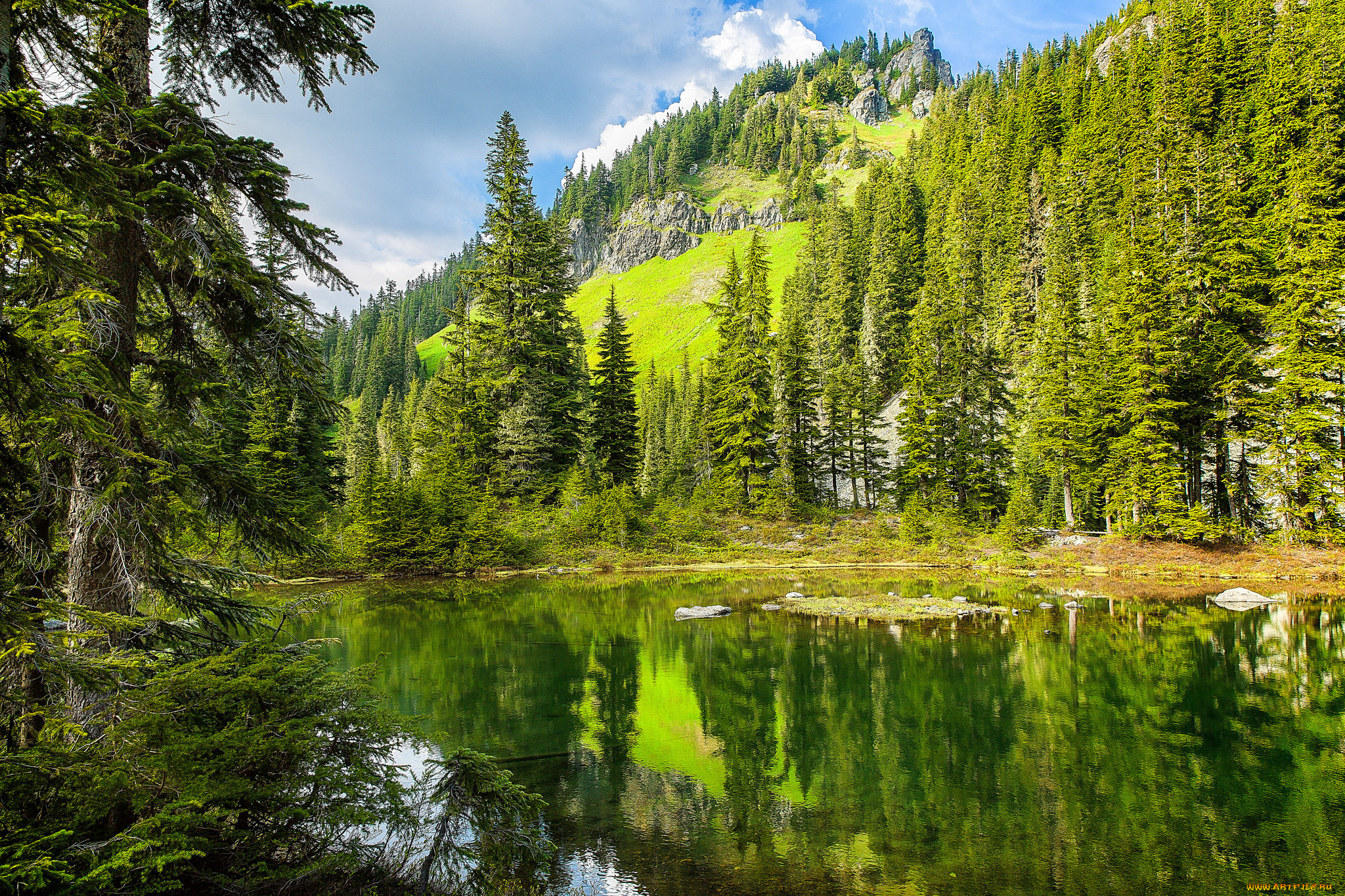 природа, реки, озера, простор