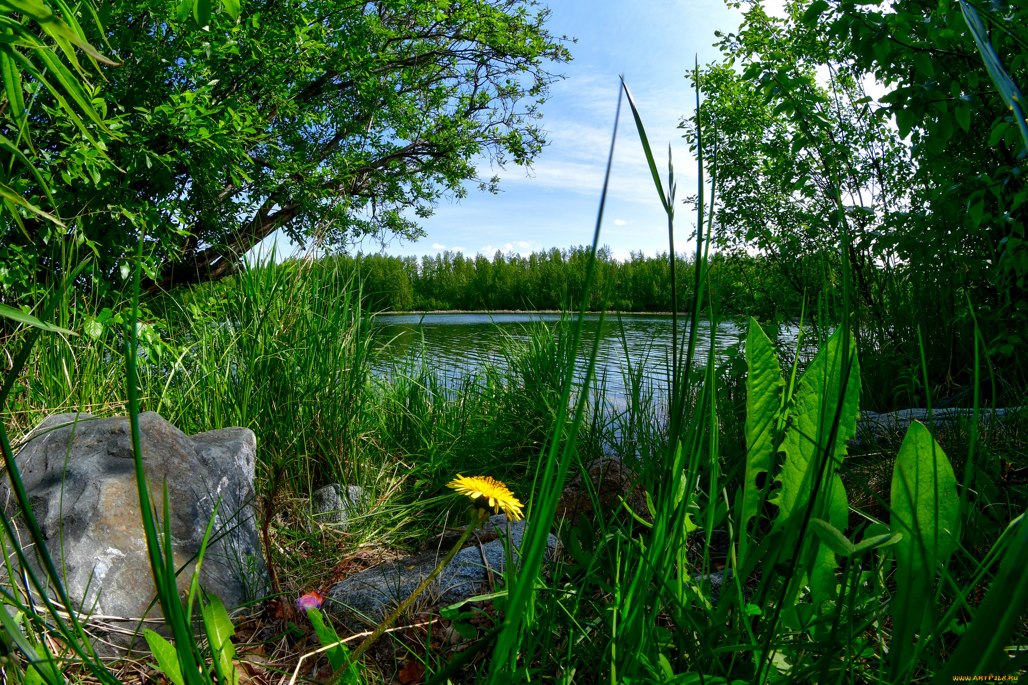 природа, реки, озера, простор