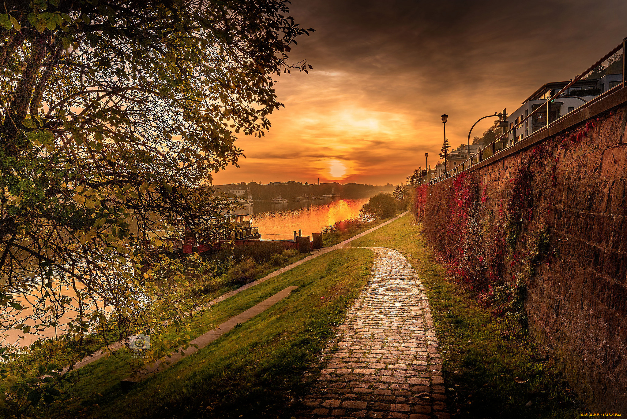 heidelberger, neckar, города, -, пейзажи, простор