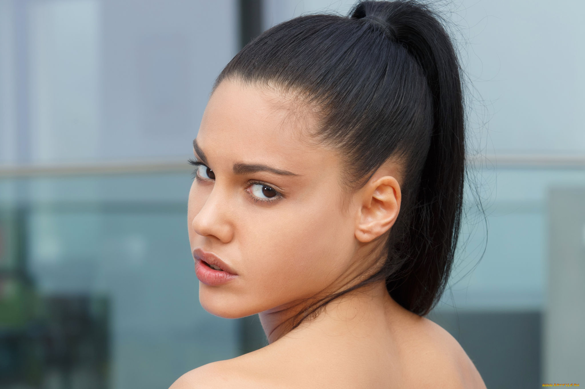 apolonia, lapiedra, девушки, apolonia, lapiedra, девушка, модель, брюнетка, поза, красотка