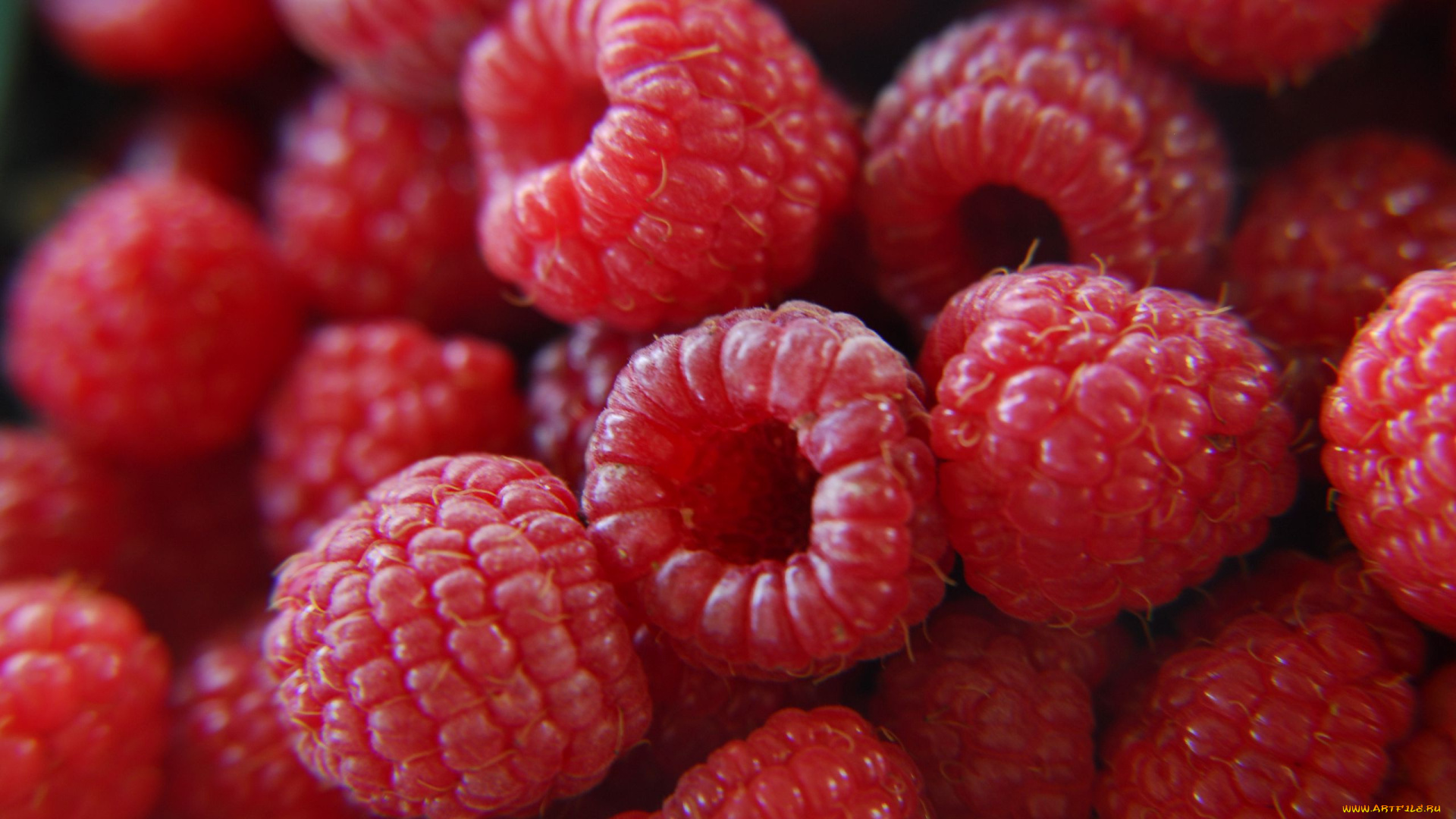 еда, малина, спелая, ягоды