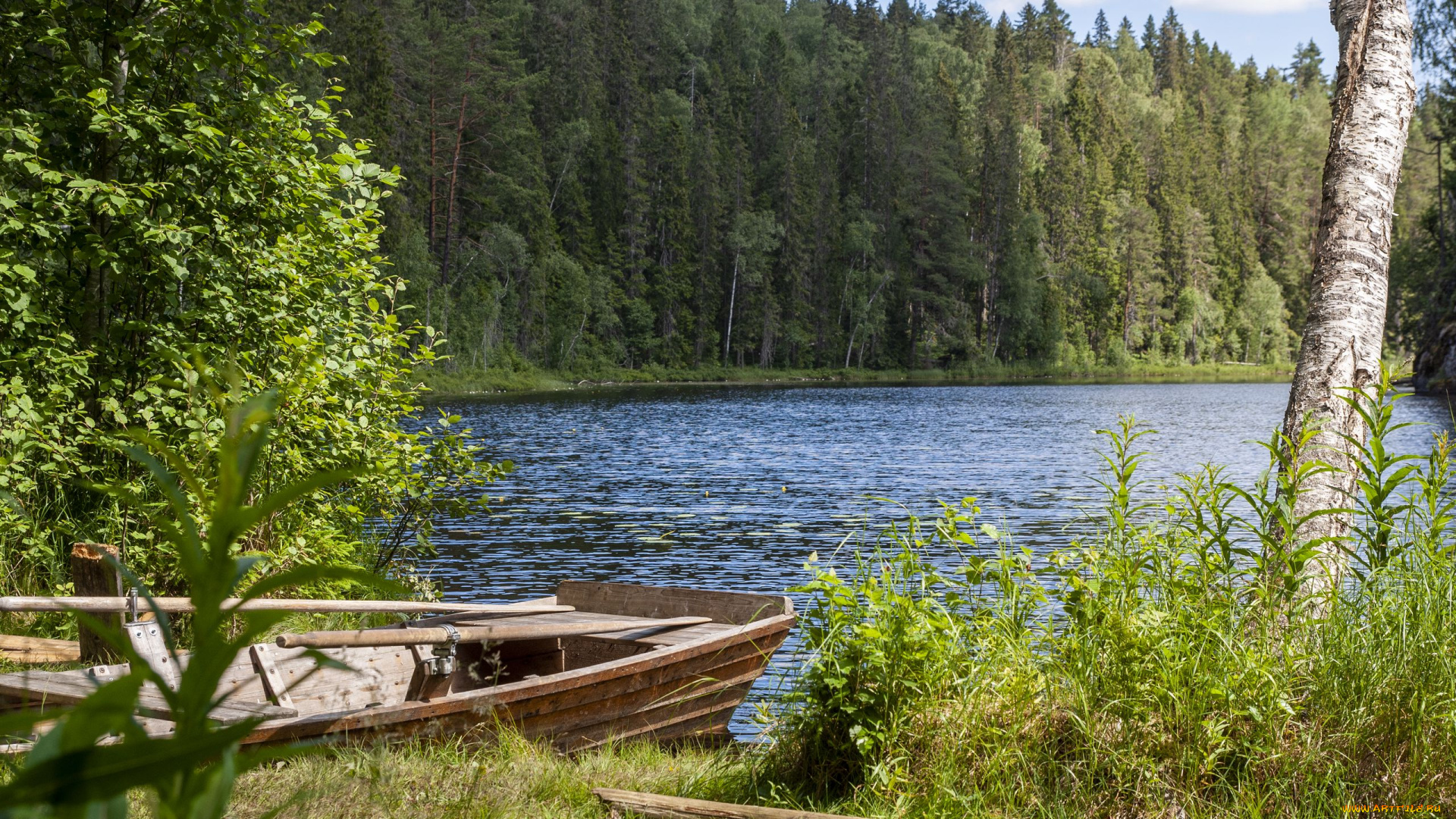 корабли, лодки, , шлюпки, лес, лодка, река