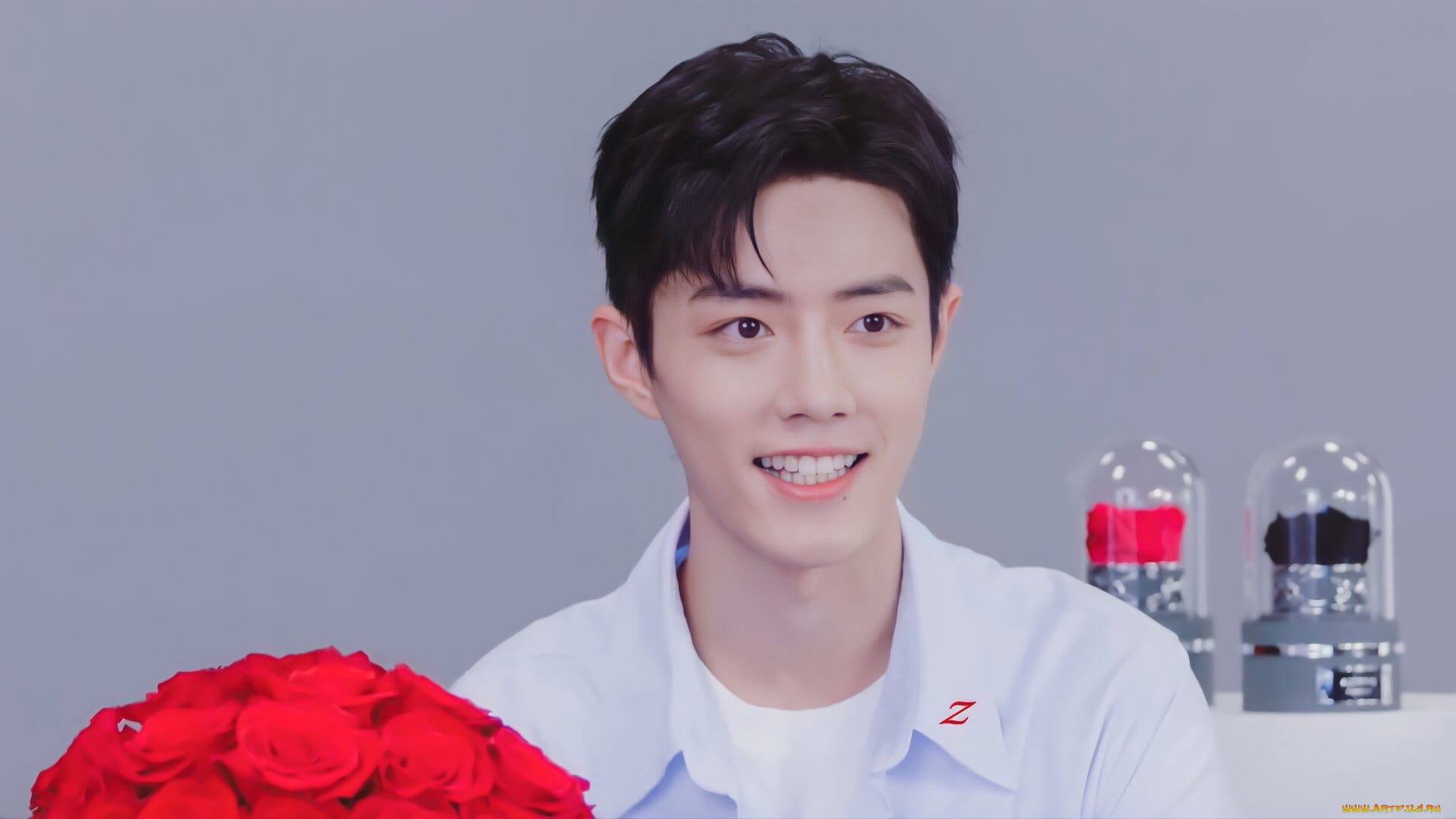 мужчины, xiao, zhan, актер, розы, колбы, презентация