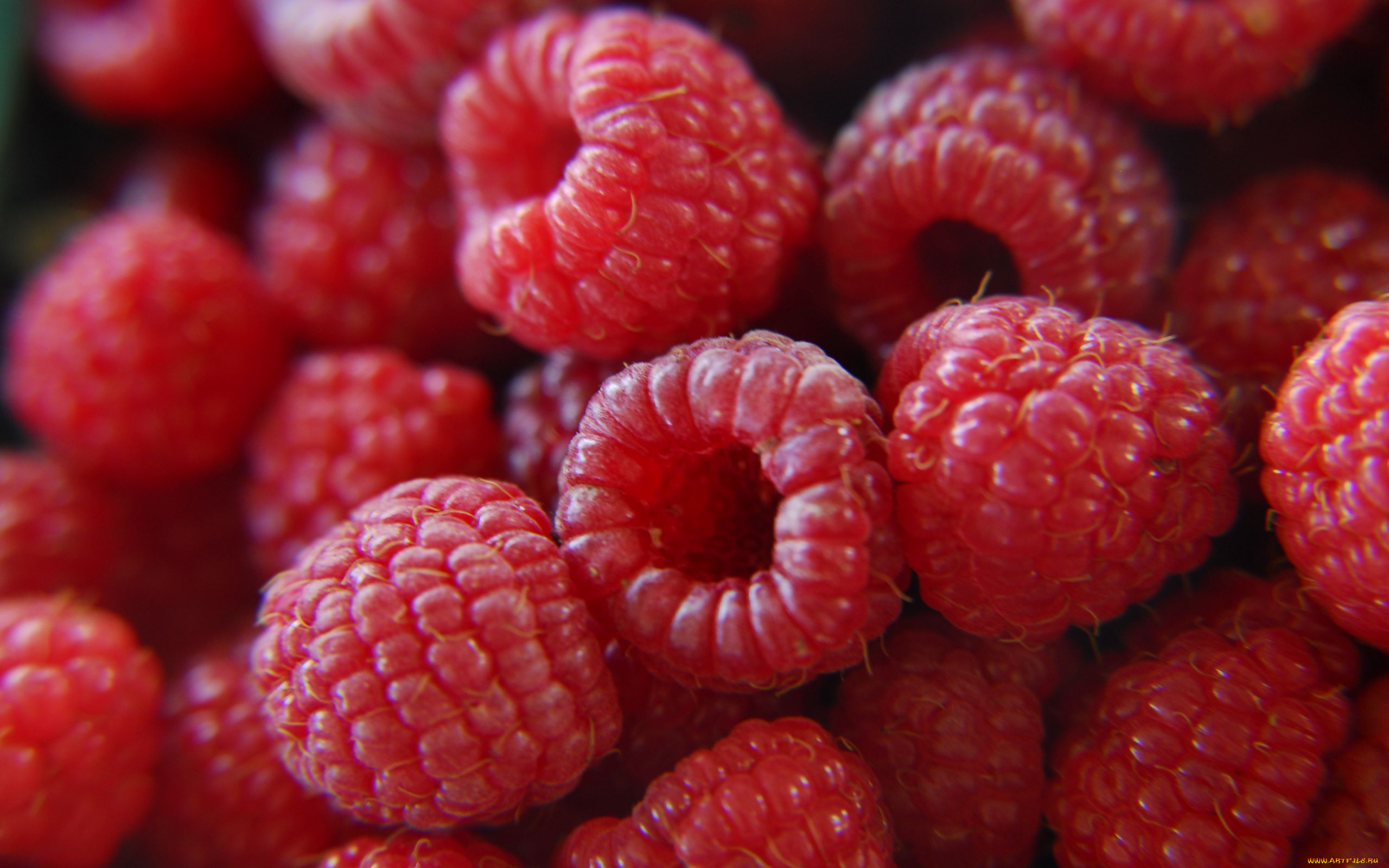 еда, малина, спелая, ягоды