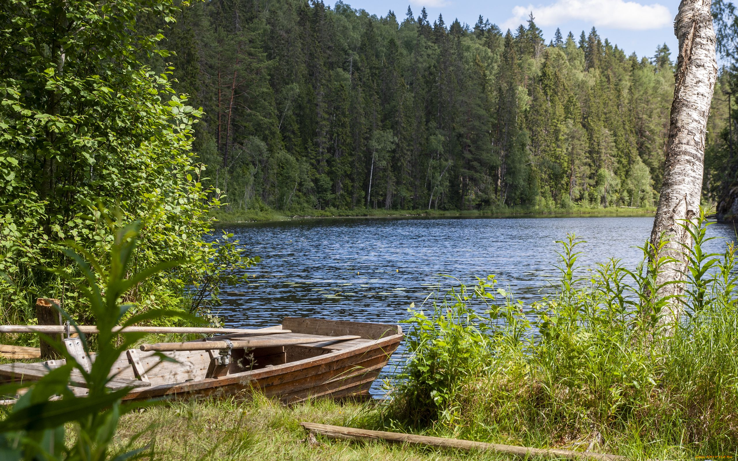 корабли, лодки, , шлюпки, лес, лодка, река