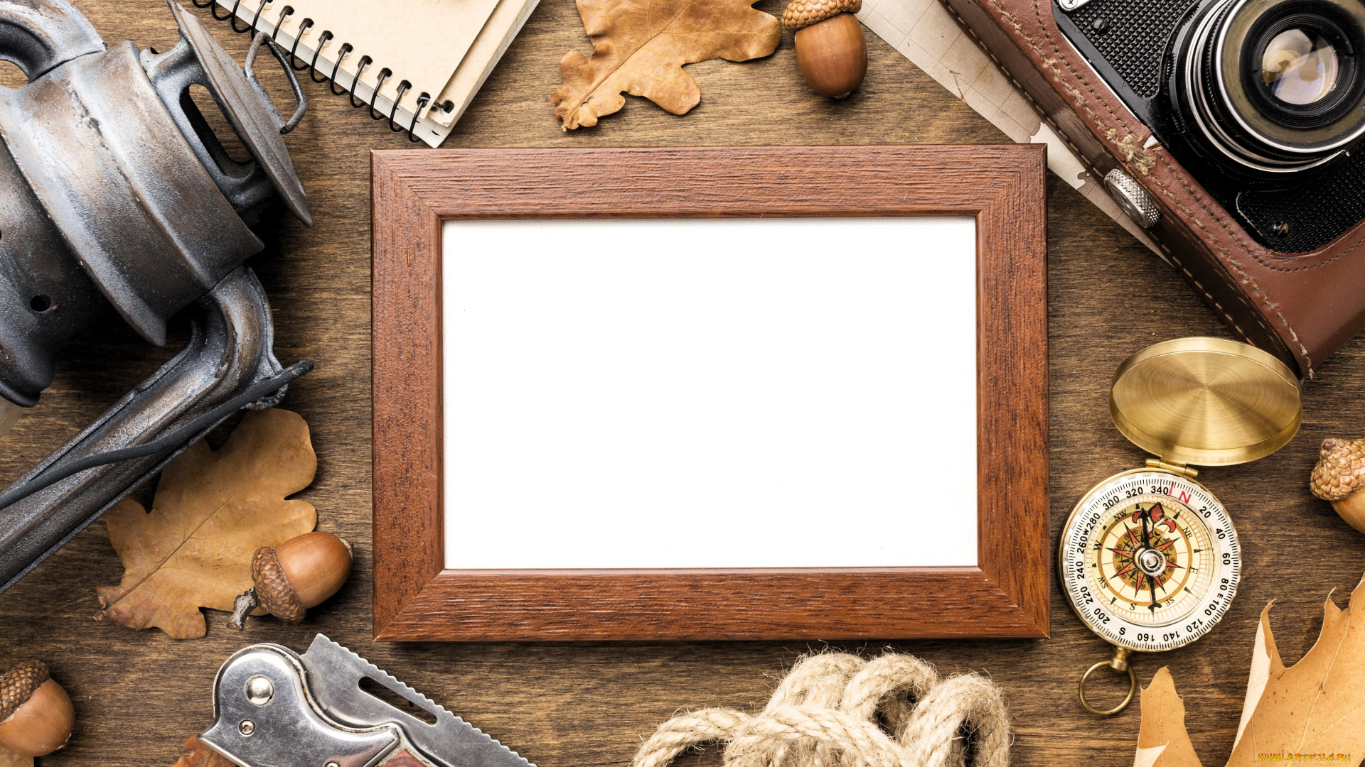 разное, -, другое, листья, желуди, блокнот, компас, фотоаппарат, рамка, веревка