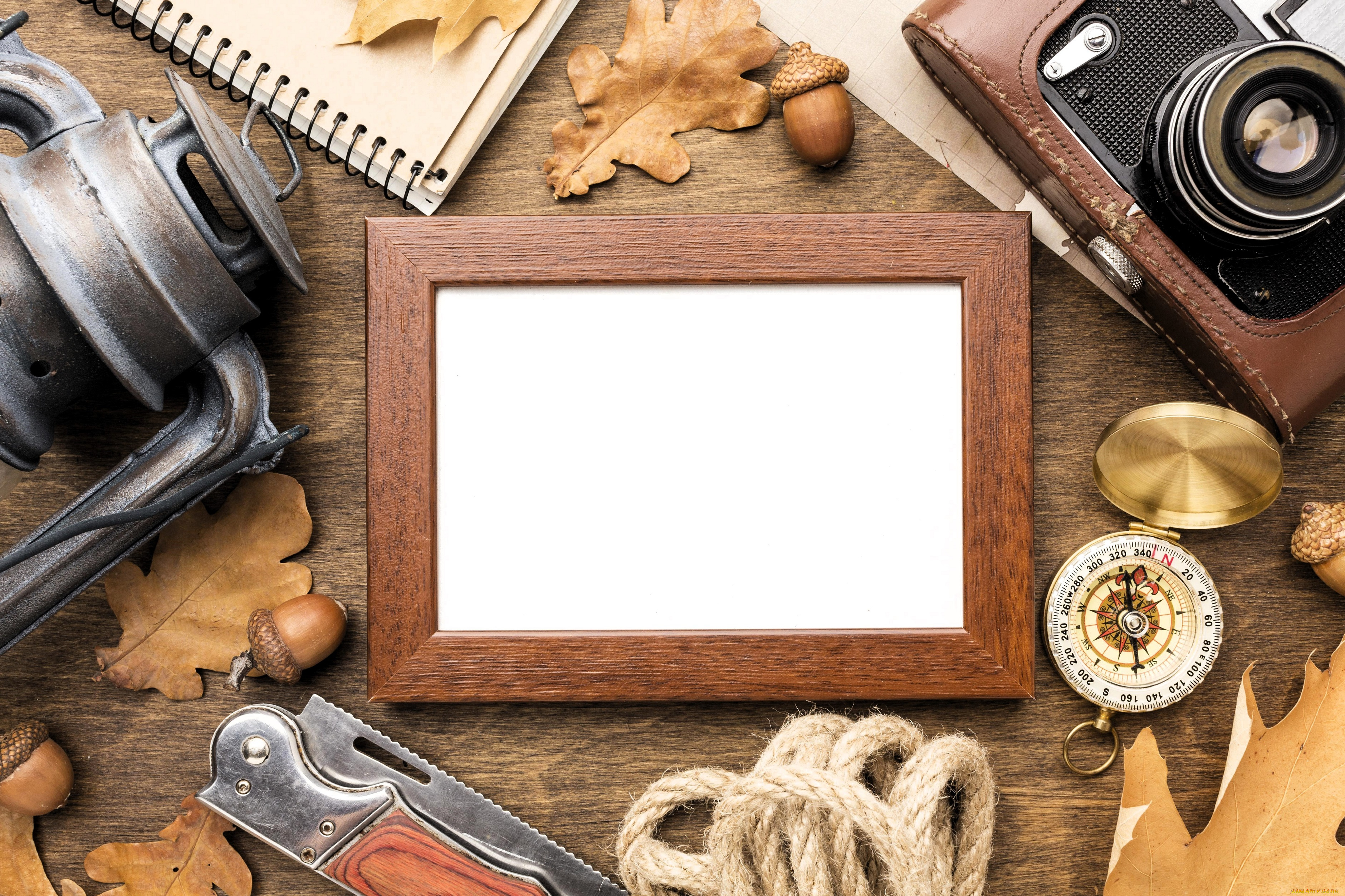 разное, -, другое, листья, желуди, блокнот, компас, фотоаппарат, рамка, веревка
