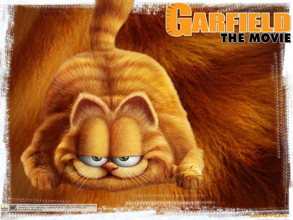 гарфилд, кино, фильмы, garfield, the, movie