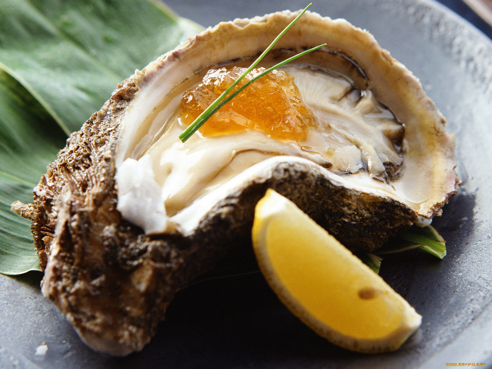 еда, рыба, морепродукты, суши, роллы