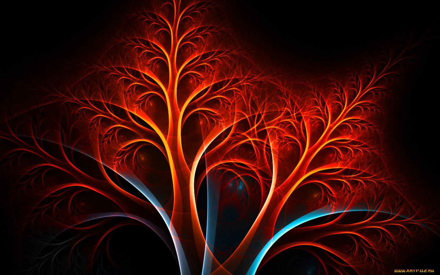 3д, графика, fractal, фракталы