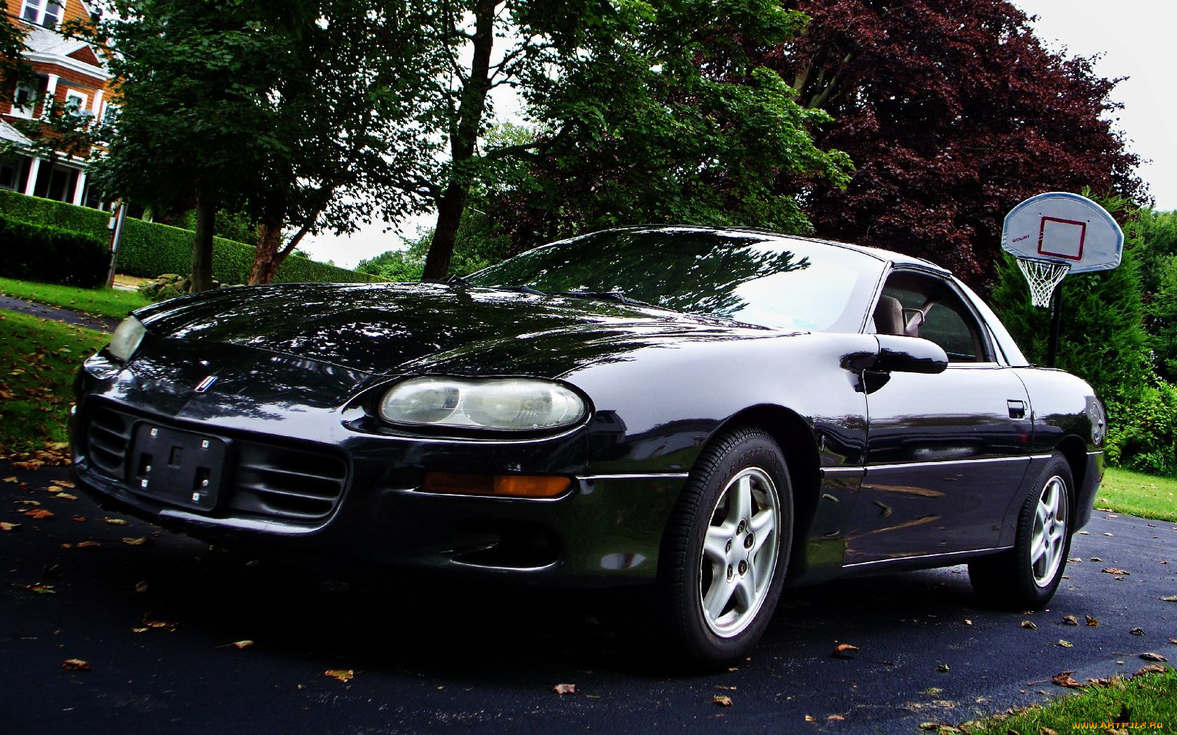 автомобили, camaro