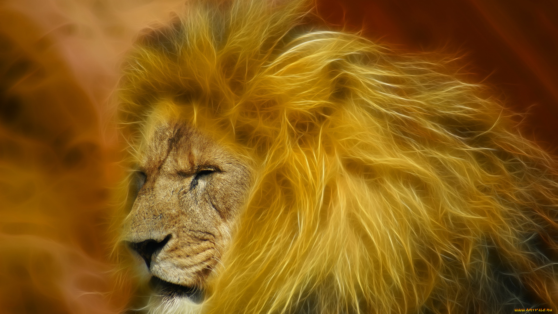 3д, графика, animals, животные