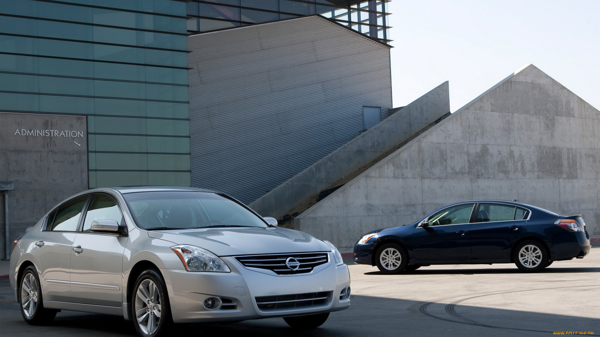 автомобили, nissan, datsun