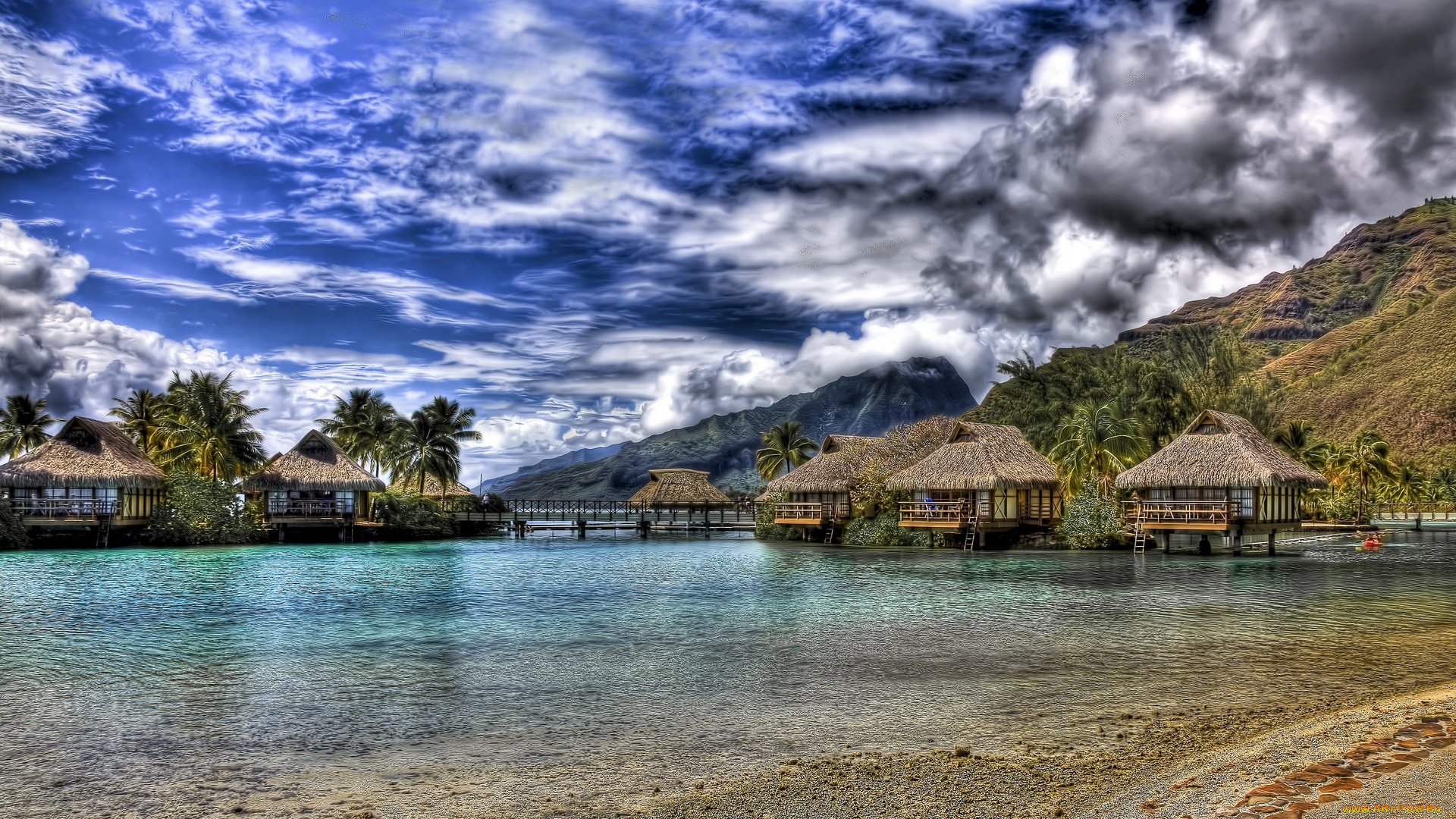moorea, bungalows, природа, тропики
