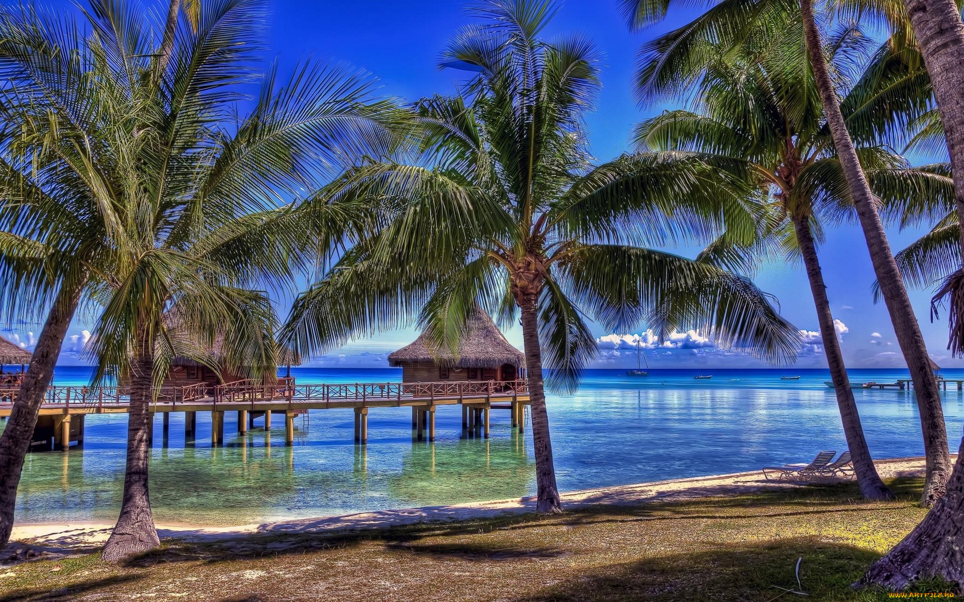 природа, тропики