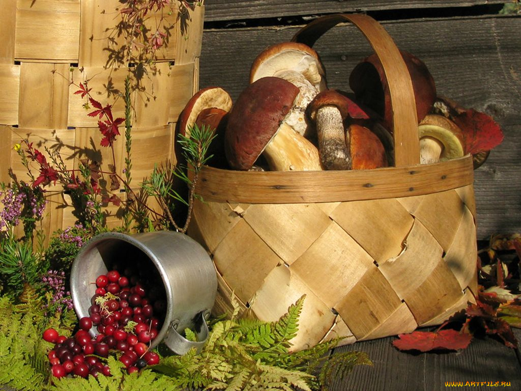 авт, irin, ionova, еда, грибы, грибные, блюда