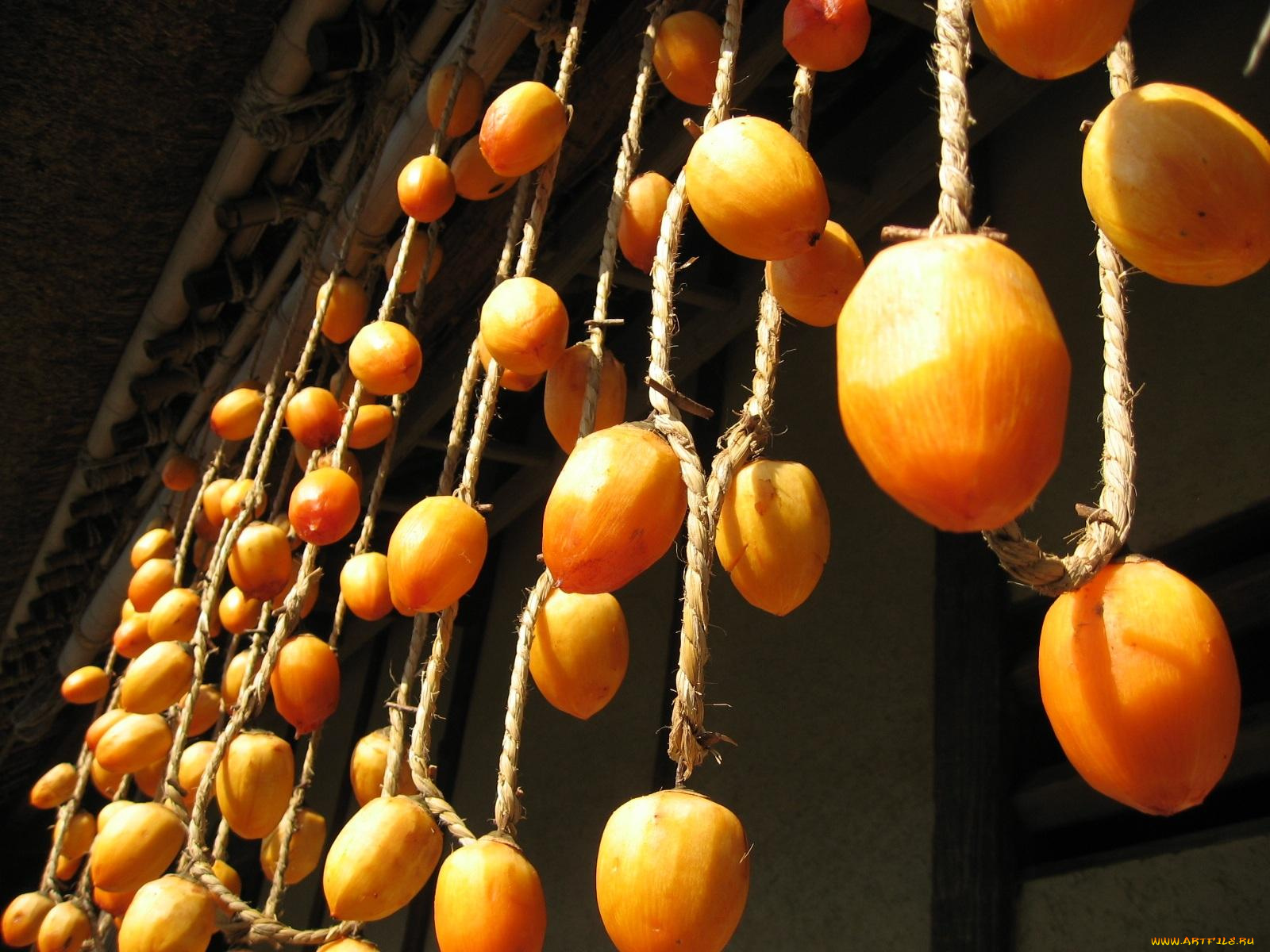 еда, разное