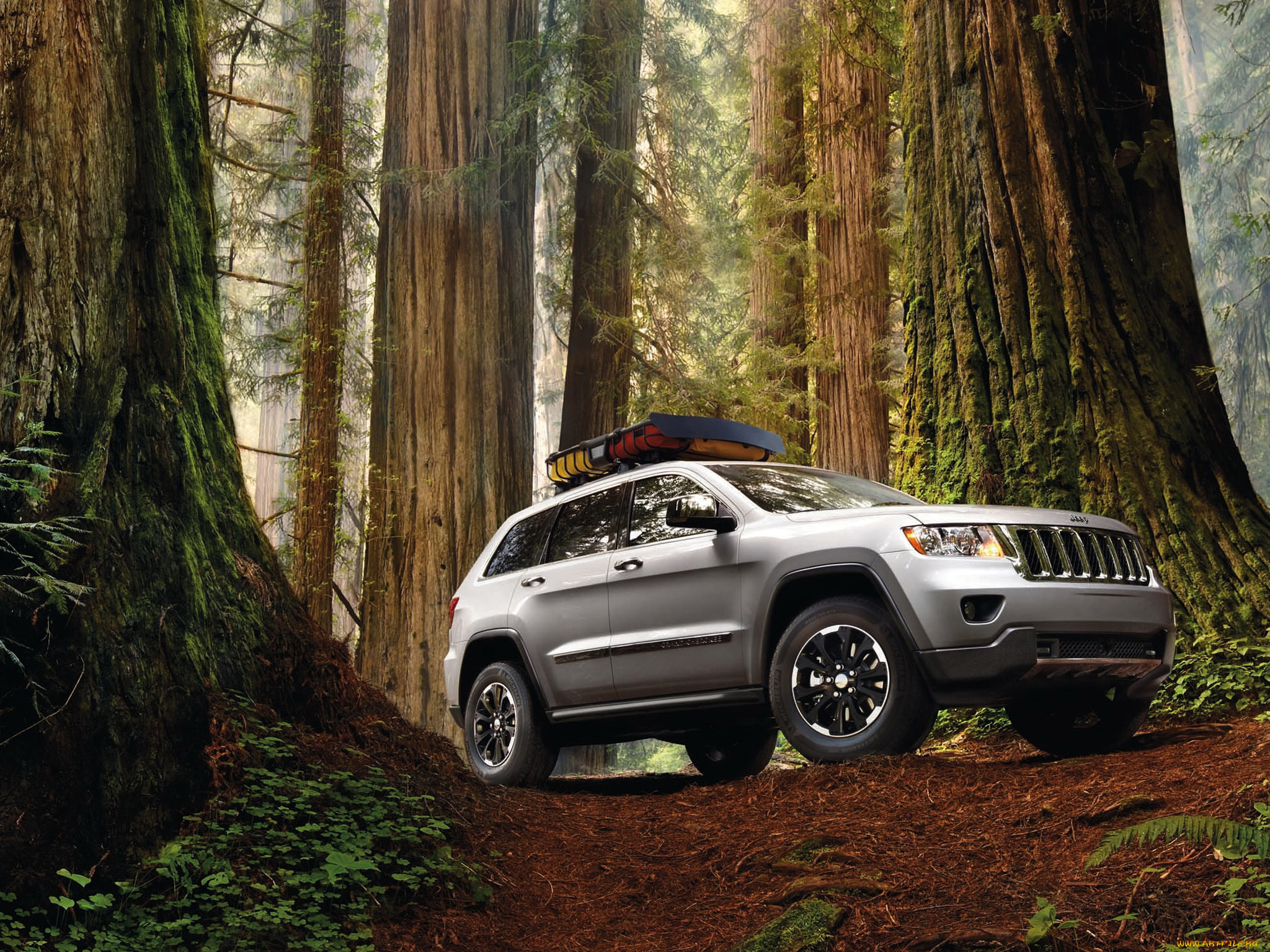 автомобили, jeep