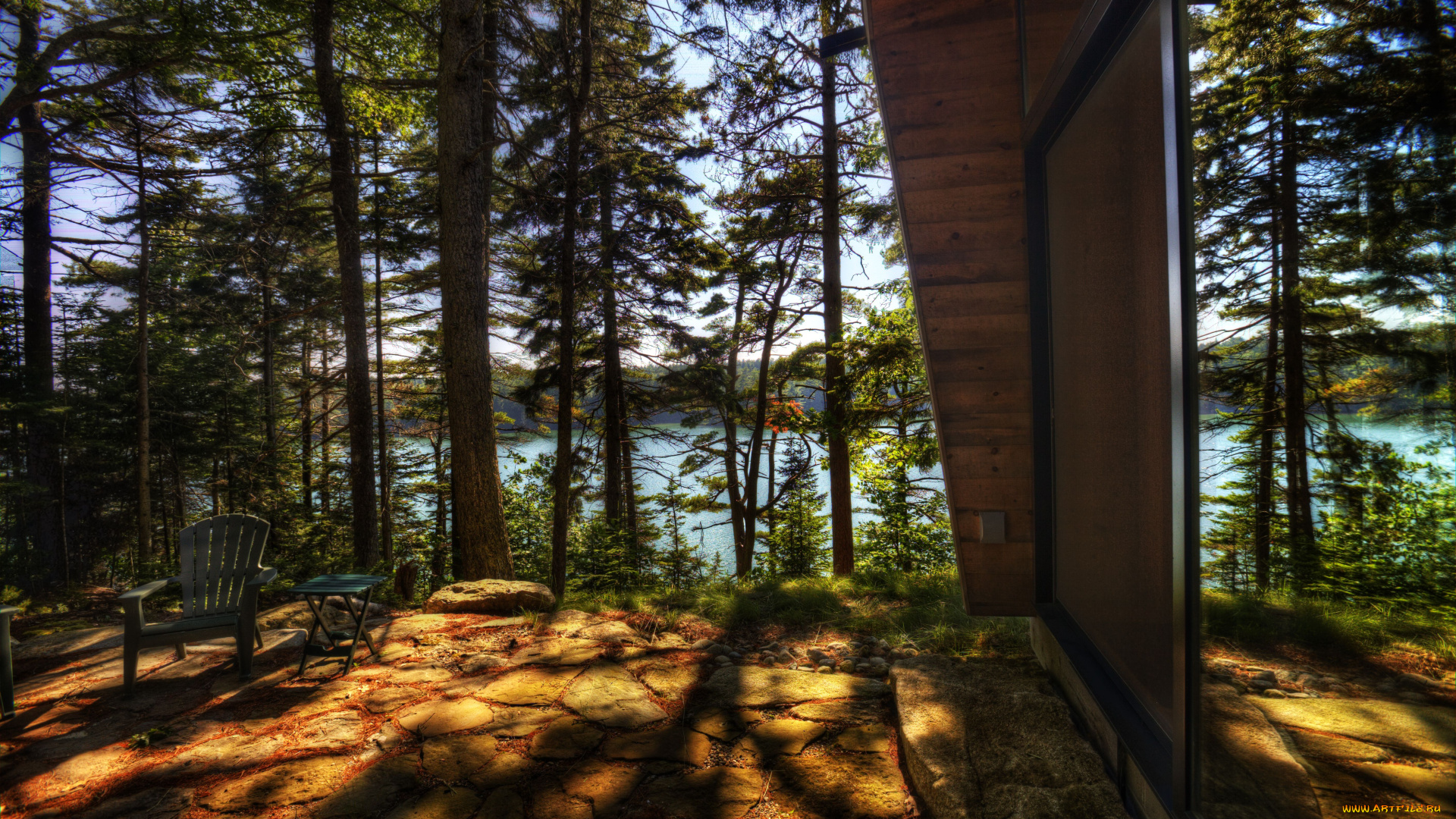 природа, лес, сосна, зеркало, отражение