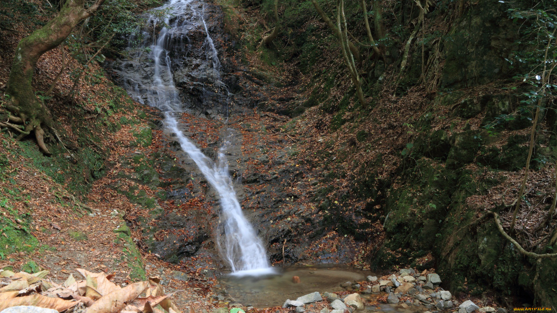 природа, водопады, деревья, вода