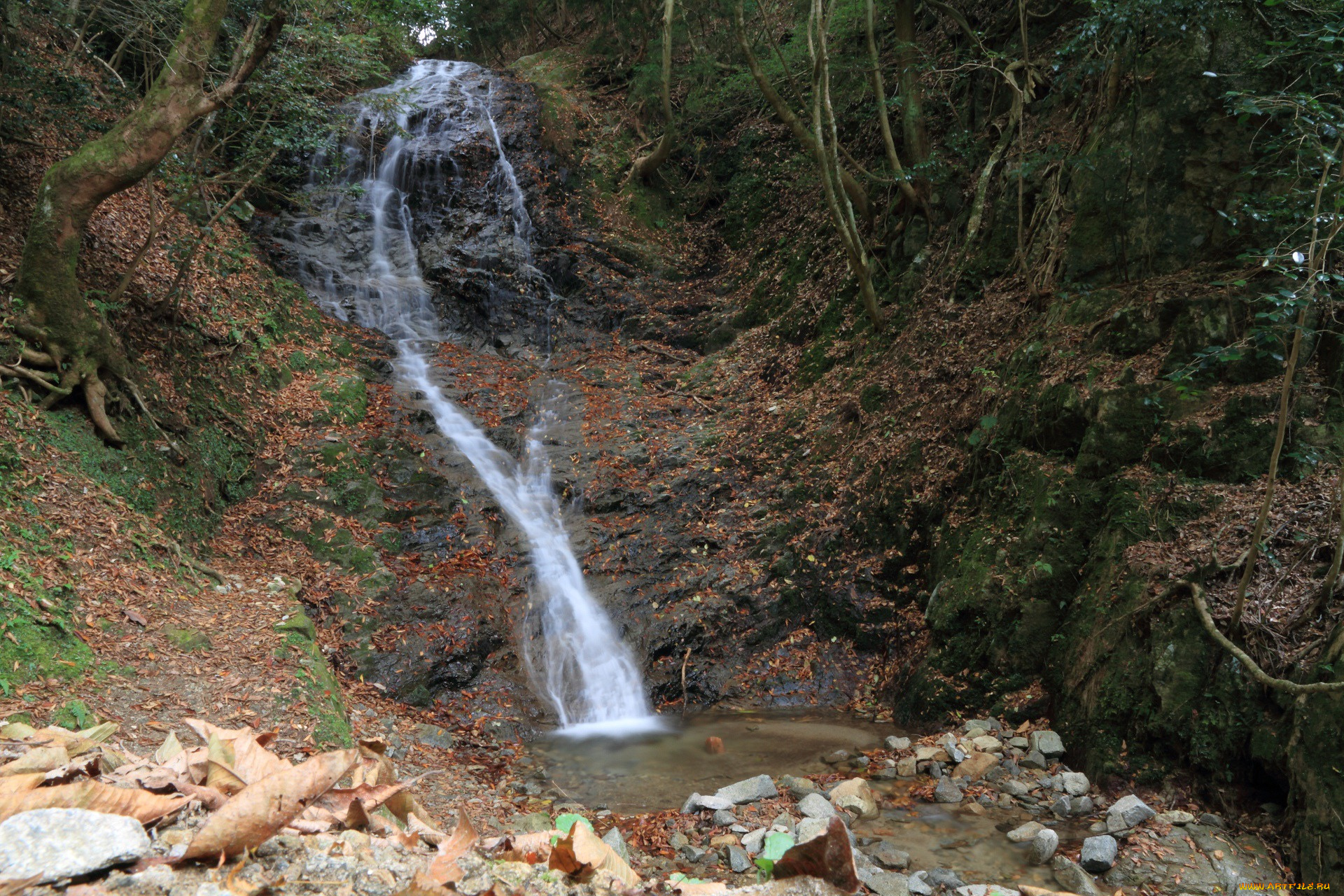 природа, водопады, деревья, вода