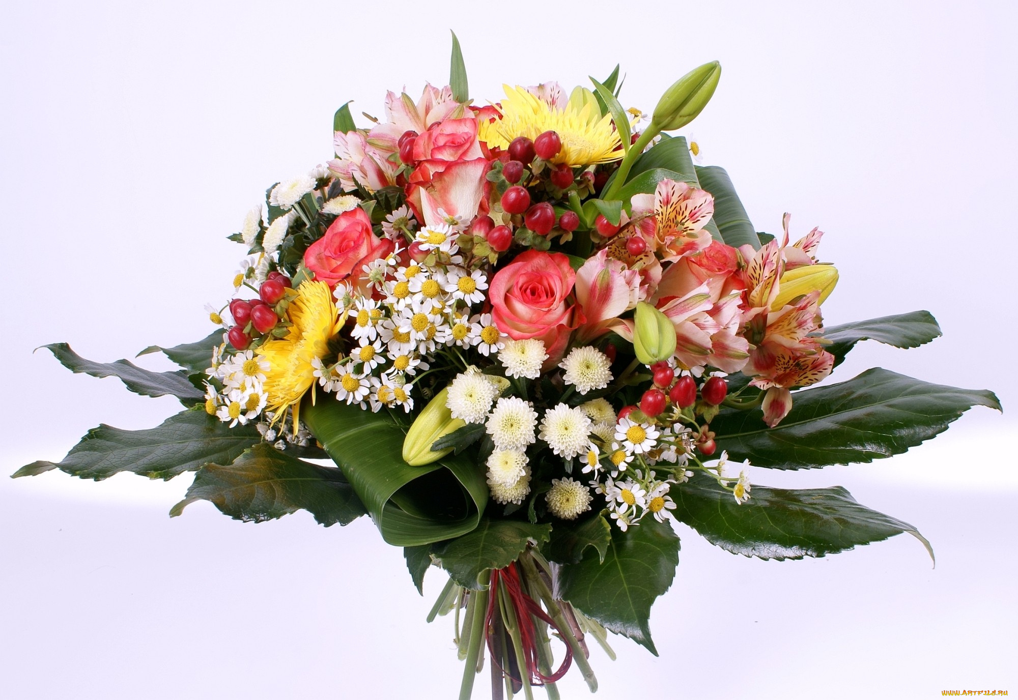 цветы, букеты, композиции, хризантемы, листья, розы, ромашки