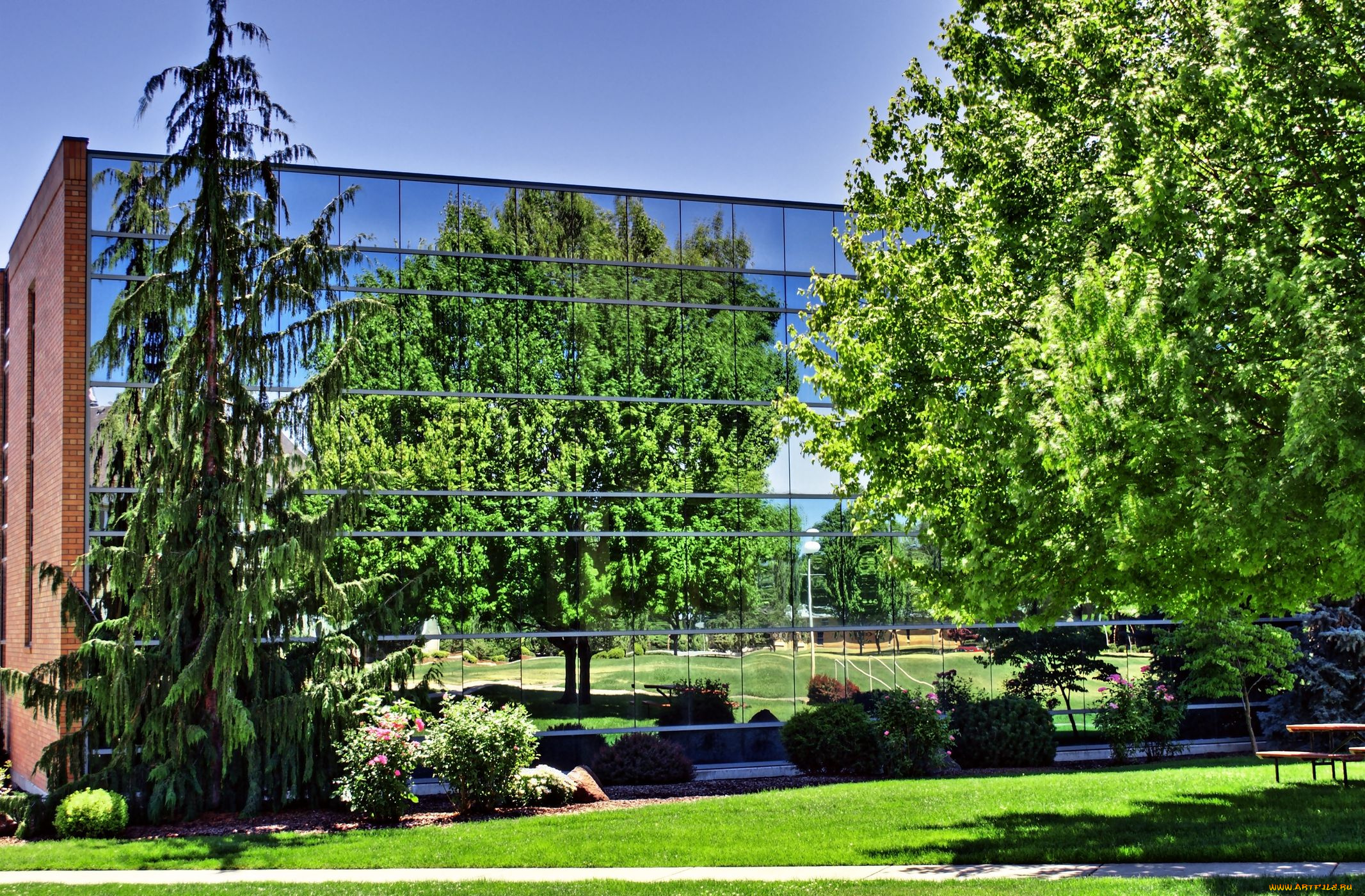 города, здания, дома, отражение, зеркало