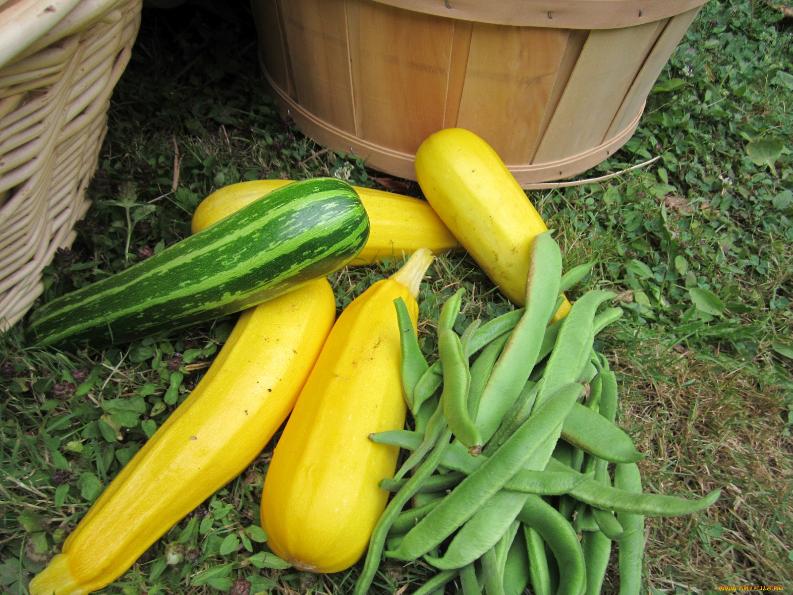 еда, кабачки, цуккини, патиссоны