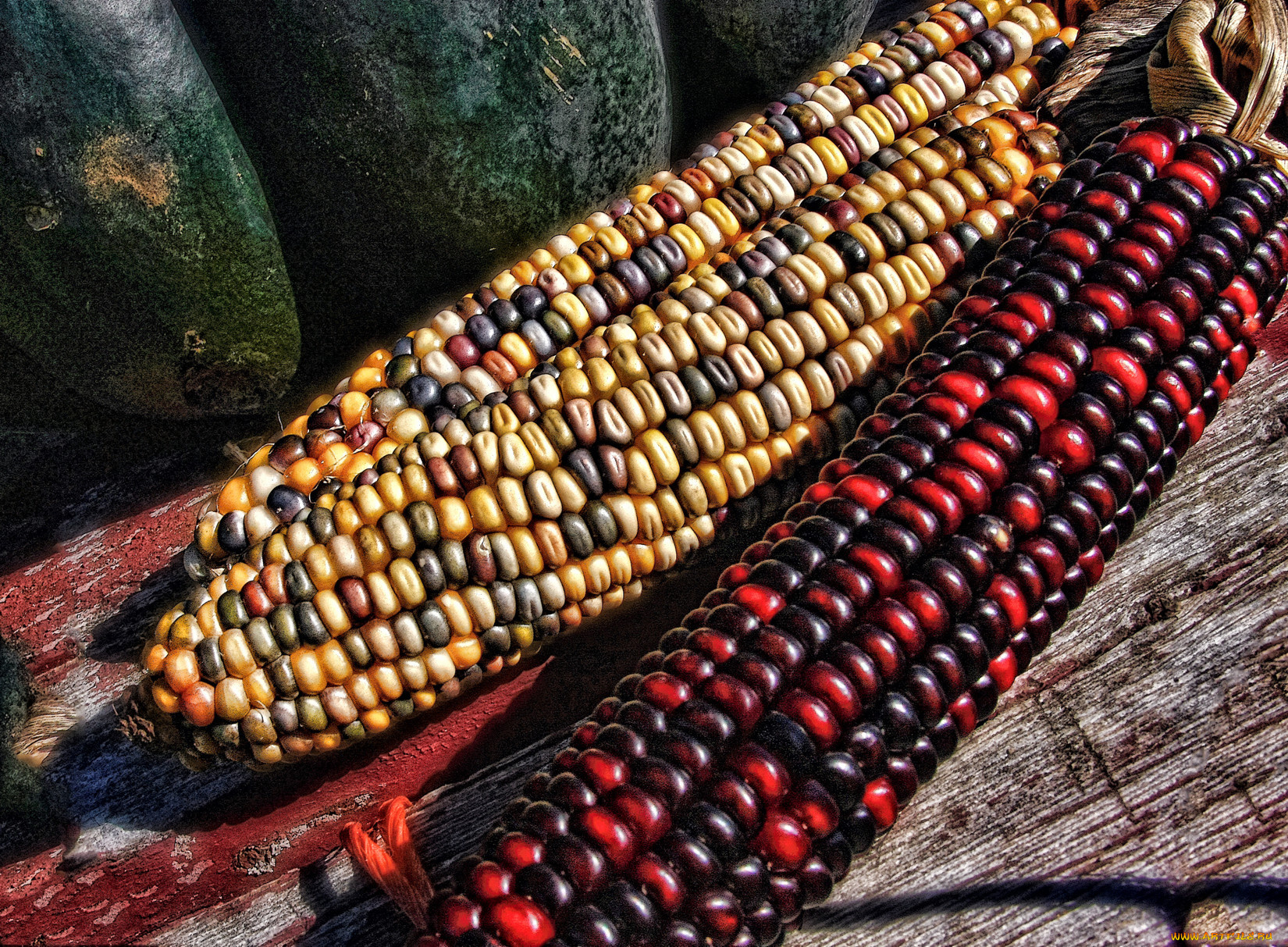 еда, кукуруза