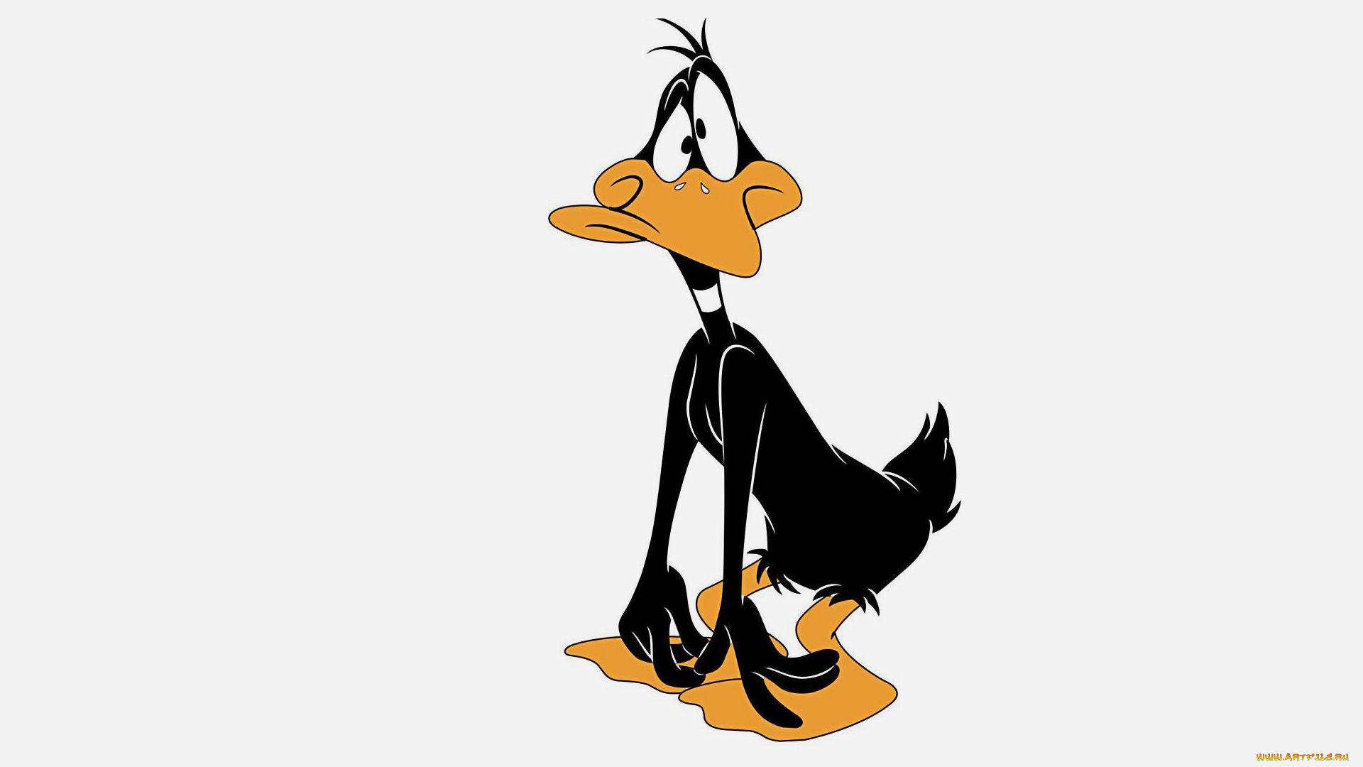 даффи, дак, мультфильмы, looney, tunes, daffy, duck