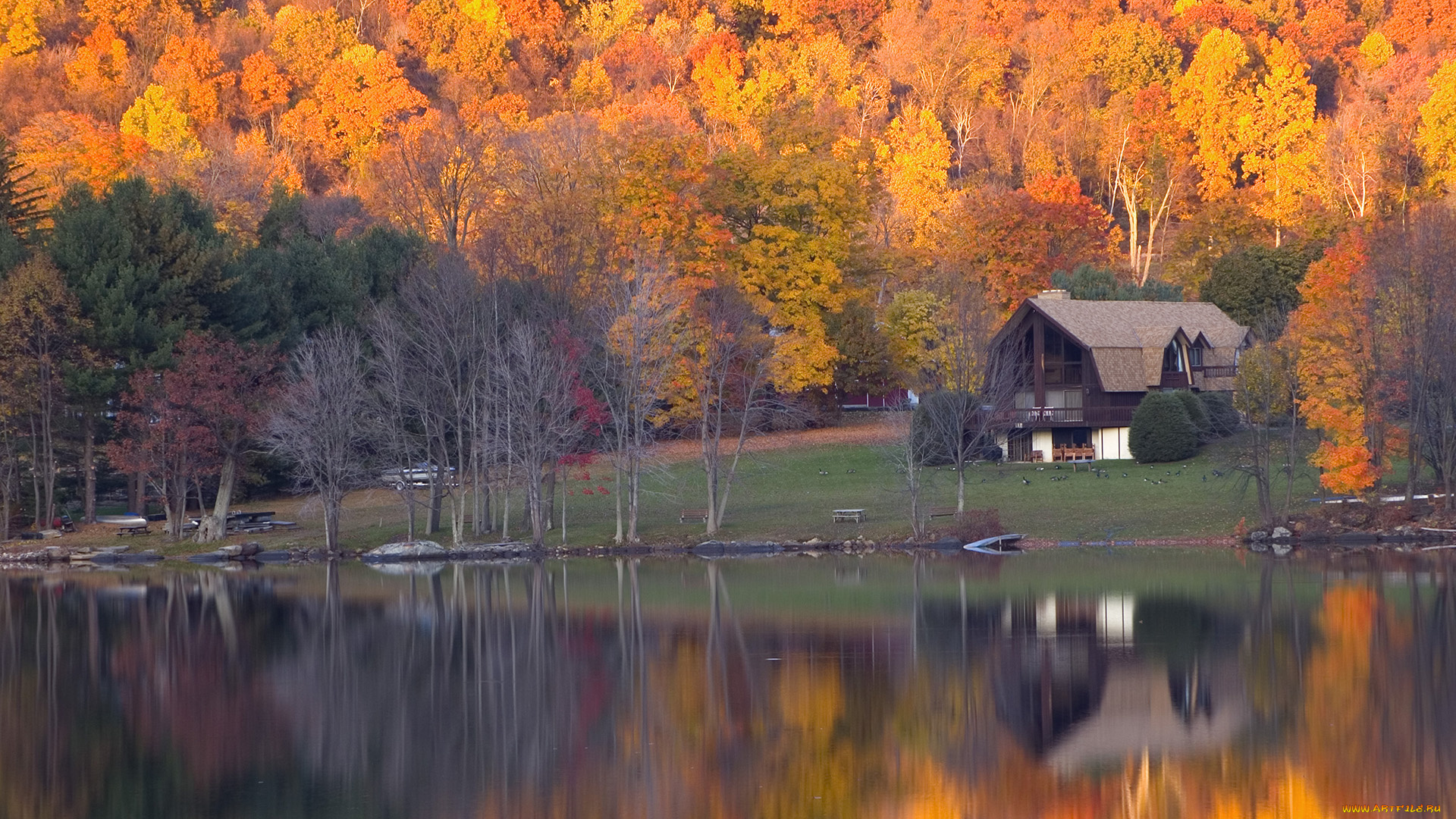 природа, реки, озера, лес, осень, домик, река