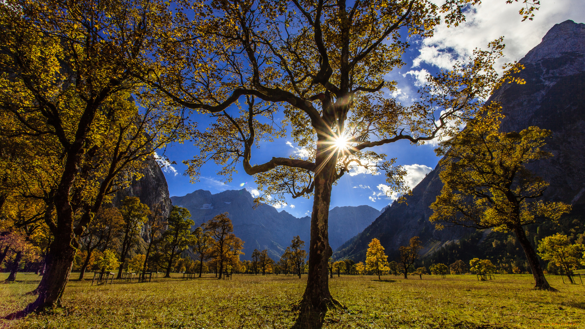 ahornboden, austria, природа, деревья, karwendel, австрия, горы, карвендель, долина
