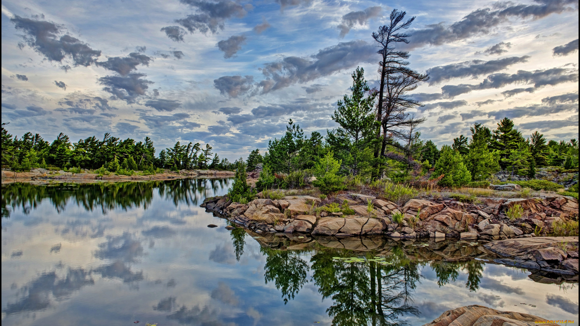 calm, morning, danny, island, природа, побережье, море, остров, скалы, лес, тучи